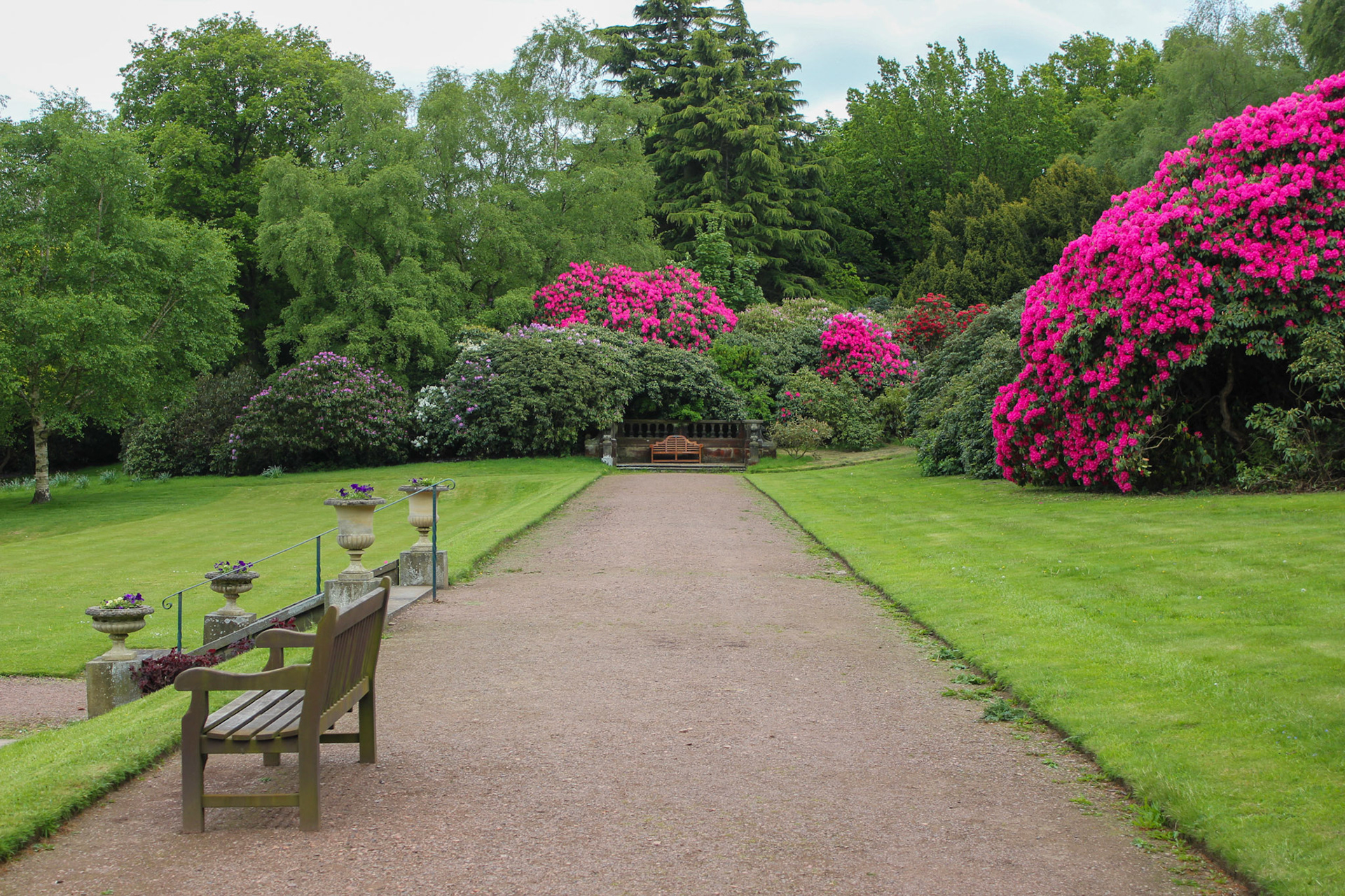 Austin A30-A35 Rally 2015 (Wortley)