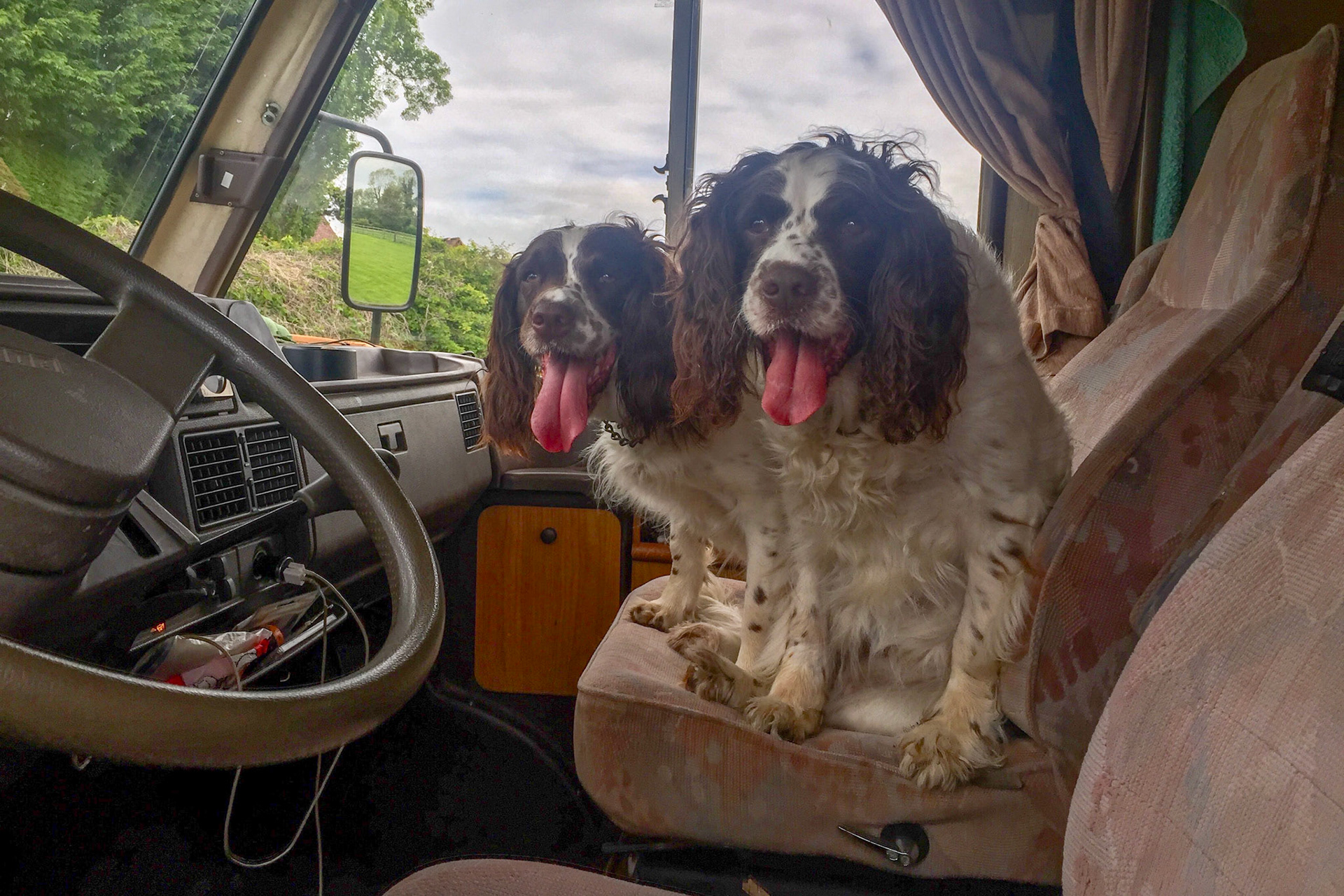 Austin A30-A35 Rally 2015 (Wortley)