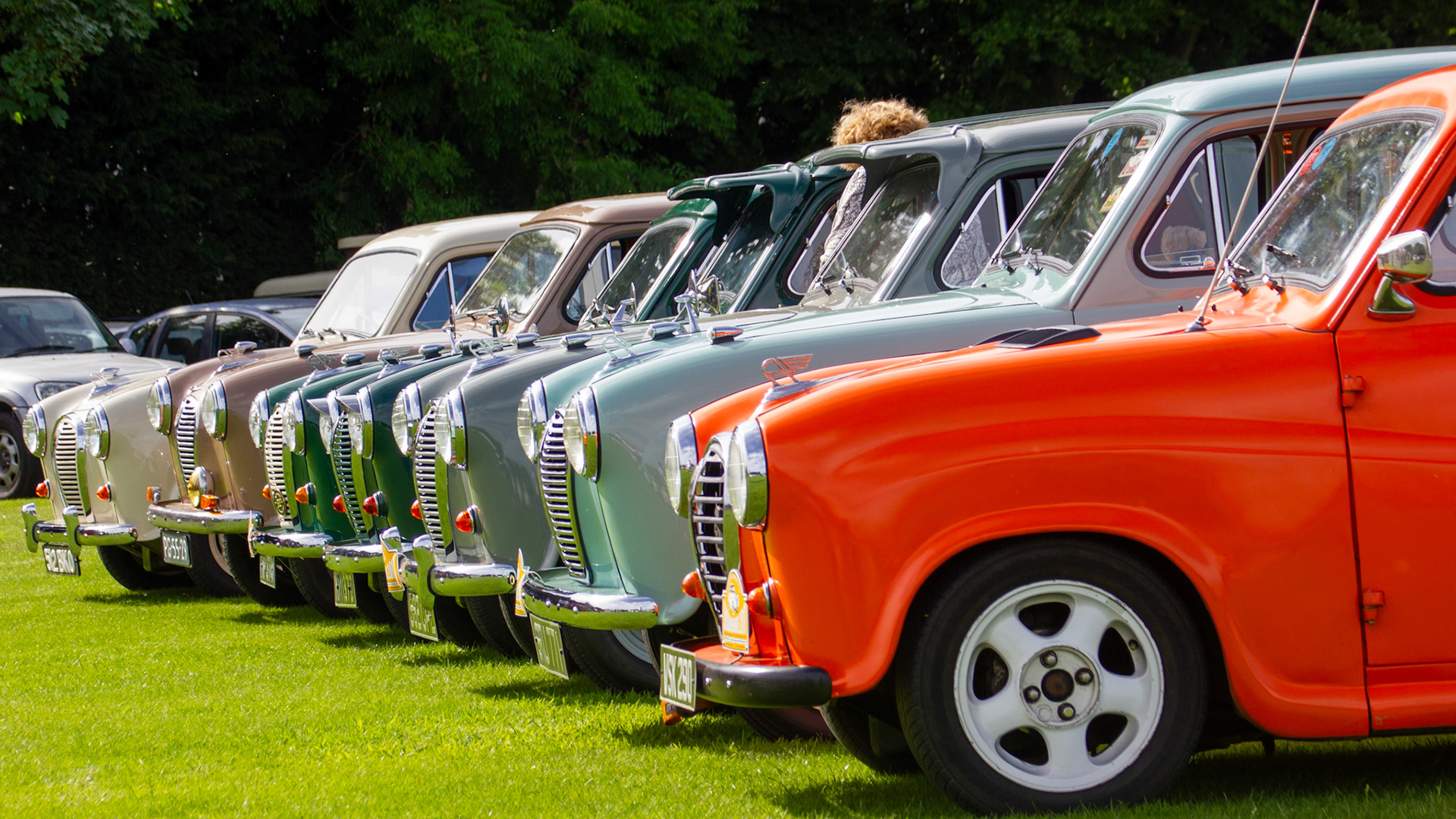 Winning Austins lined up at Hibaldstow 2017