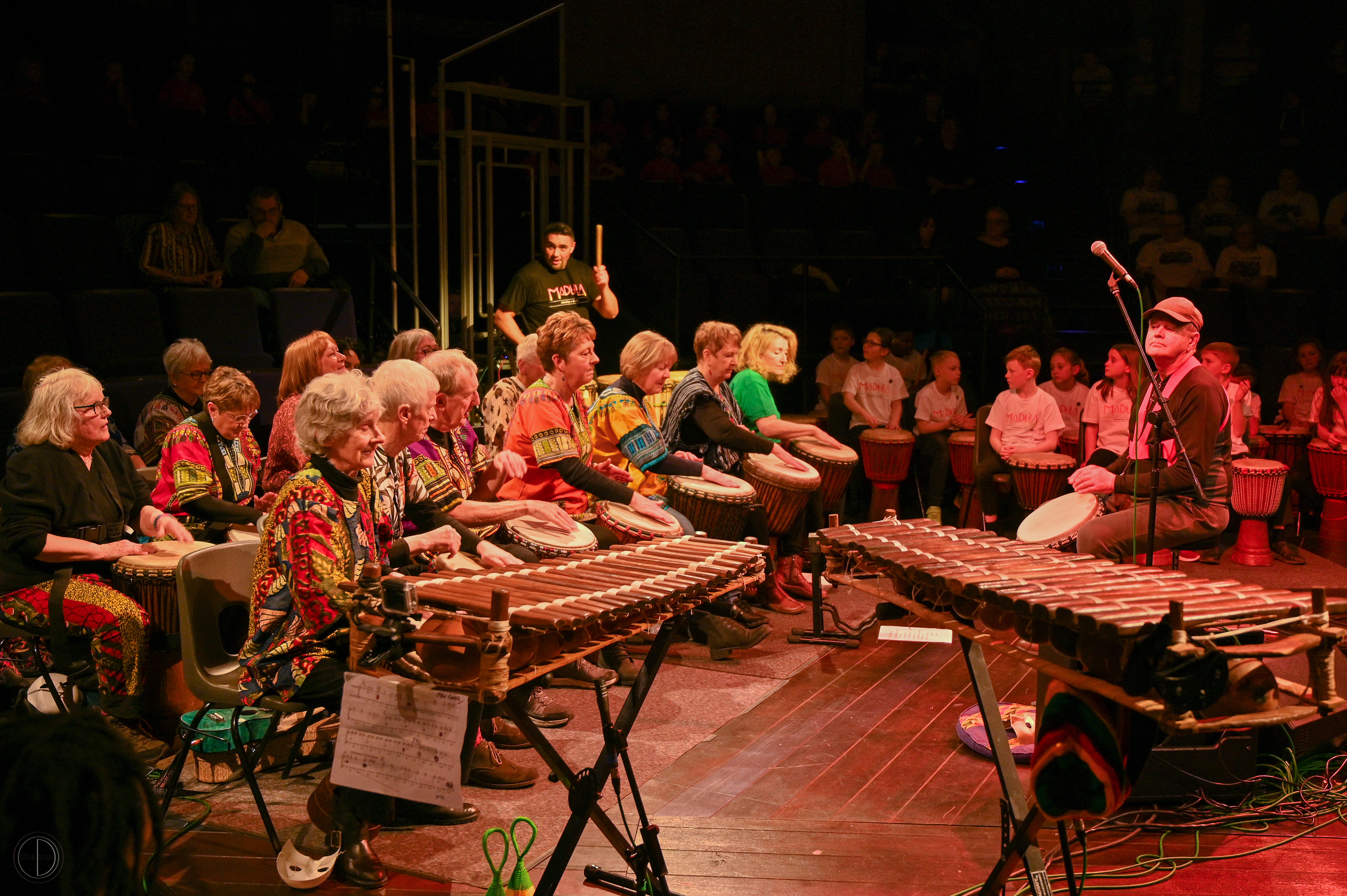Madula performance music grou