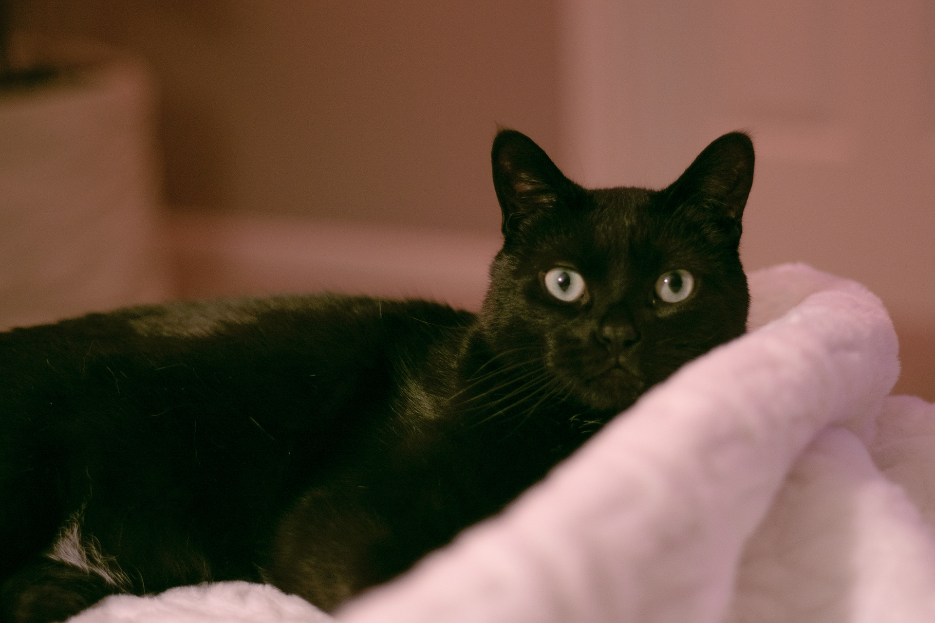 Gary