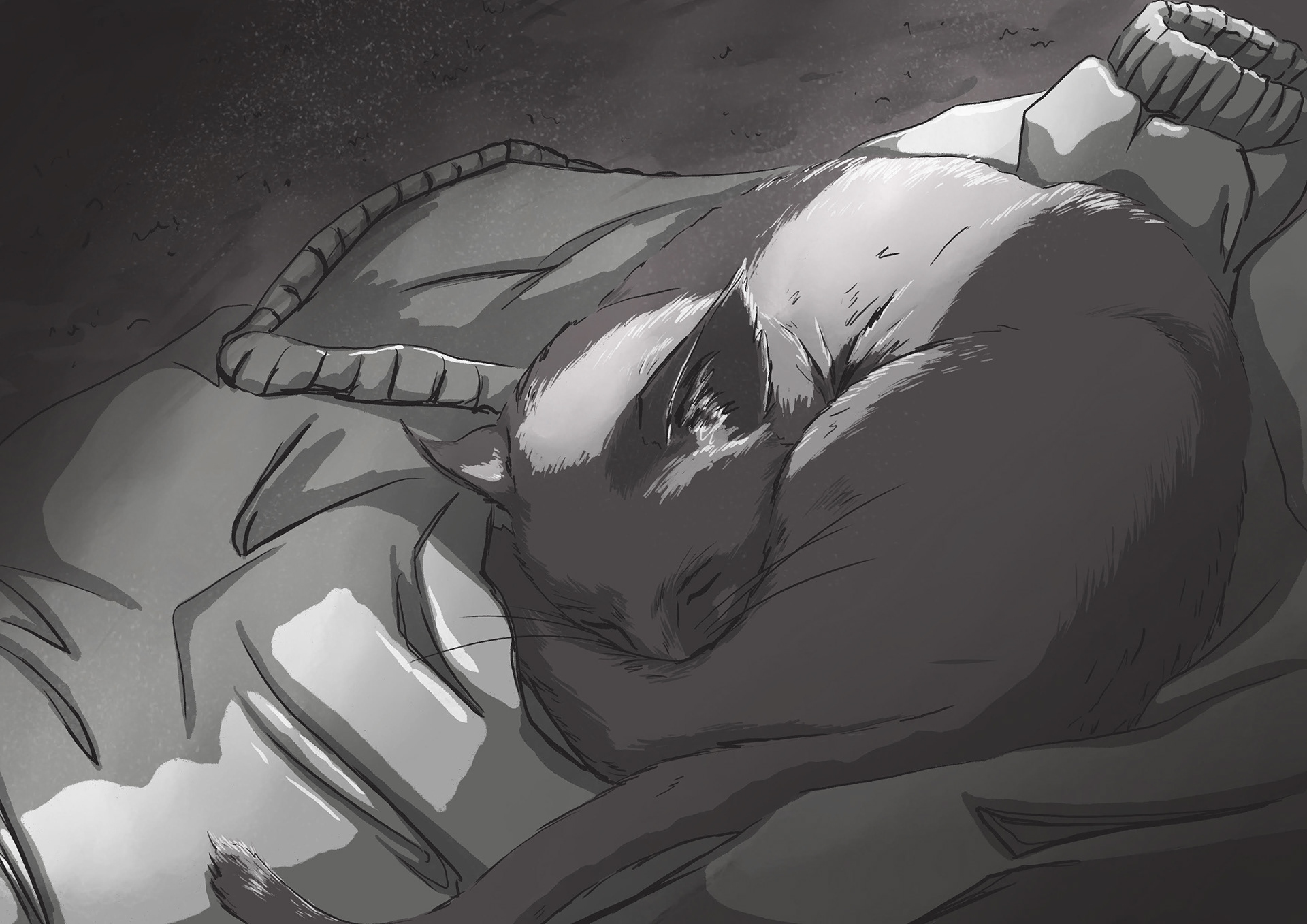 Cat Concept