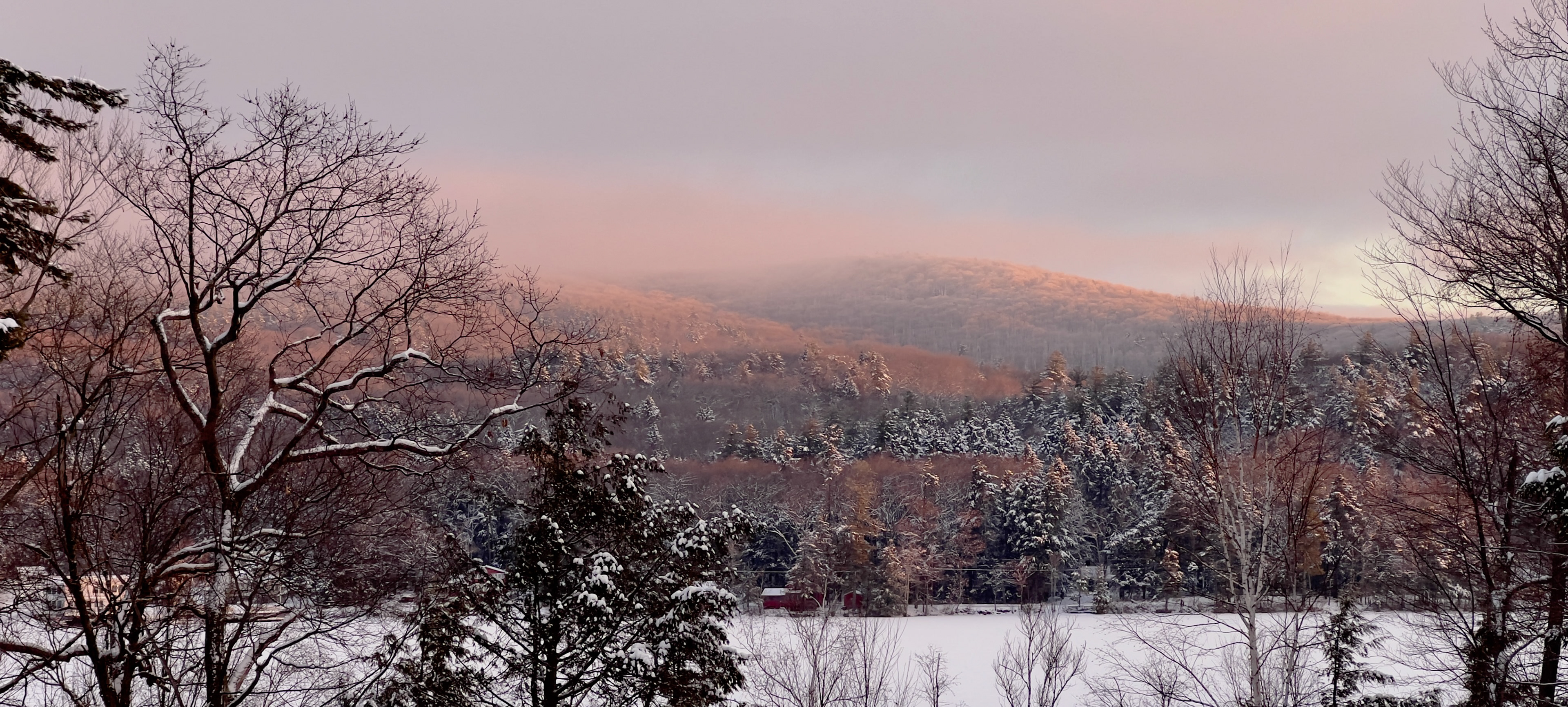 Longview Films - documentary filmmaking by Alex Cucchi