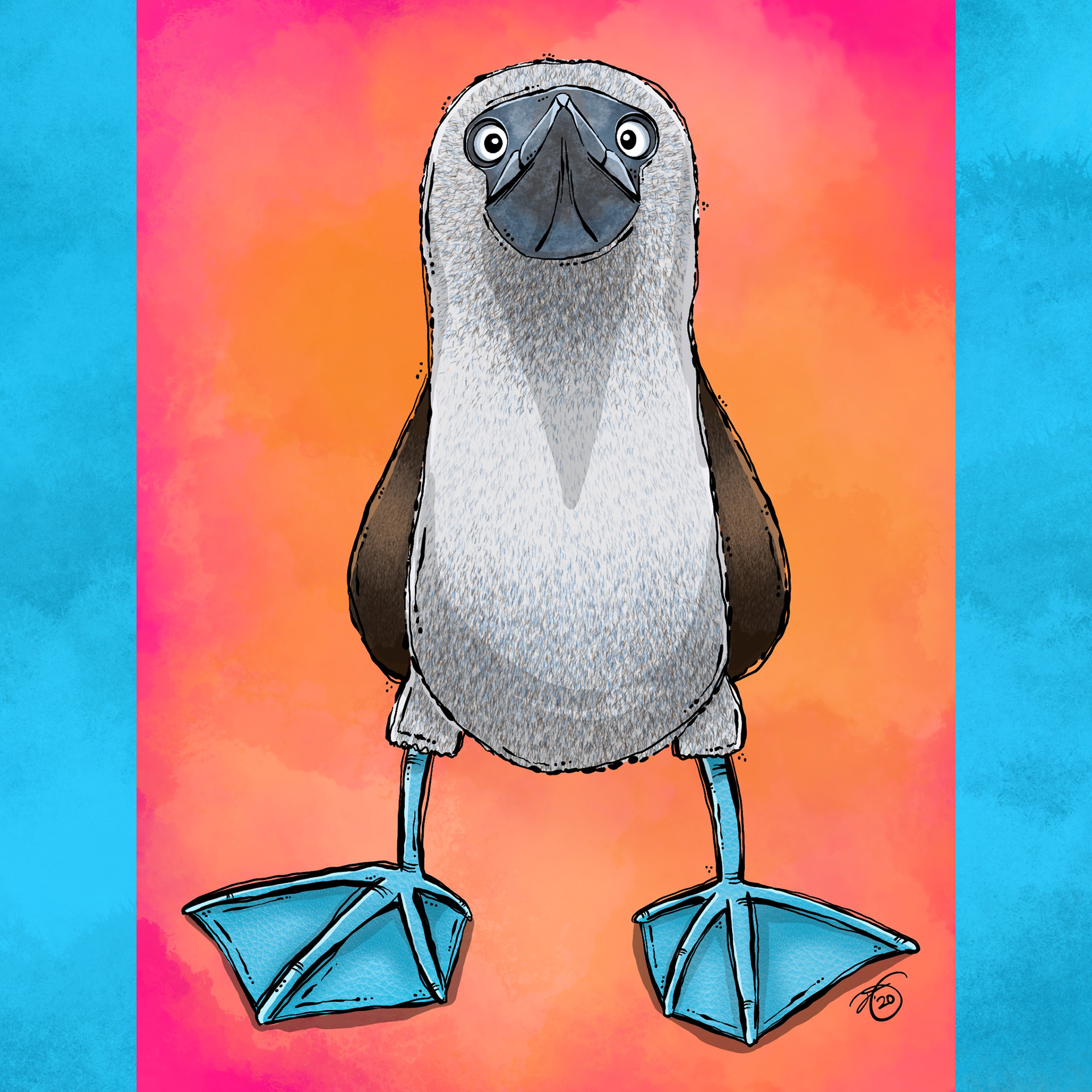BLUE FOOTED BOOBY