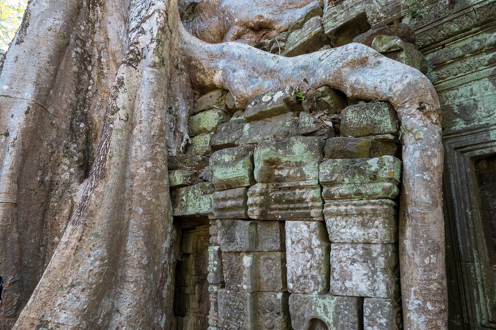 Ta Prohm