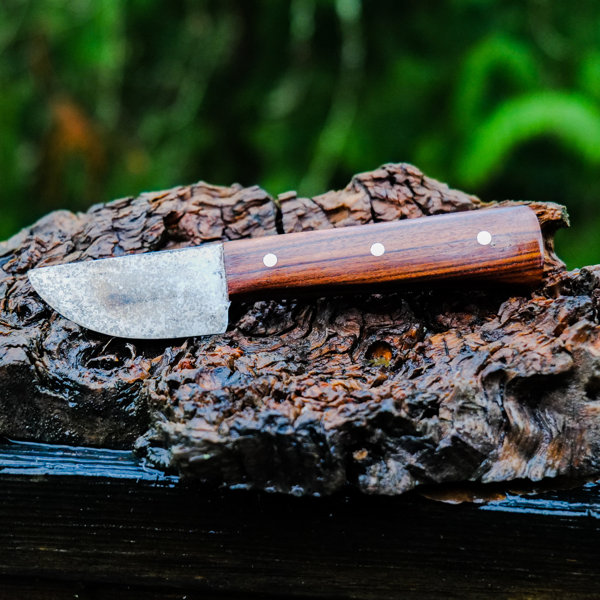 Small Skinner