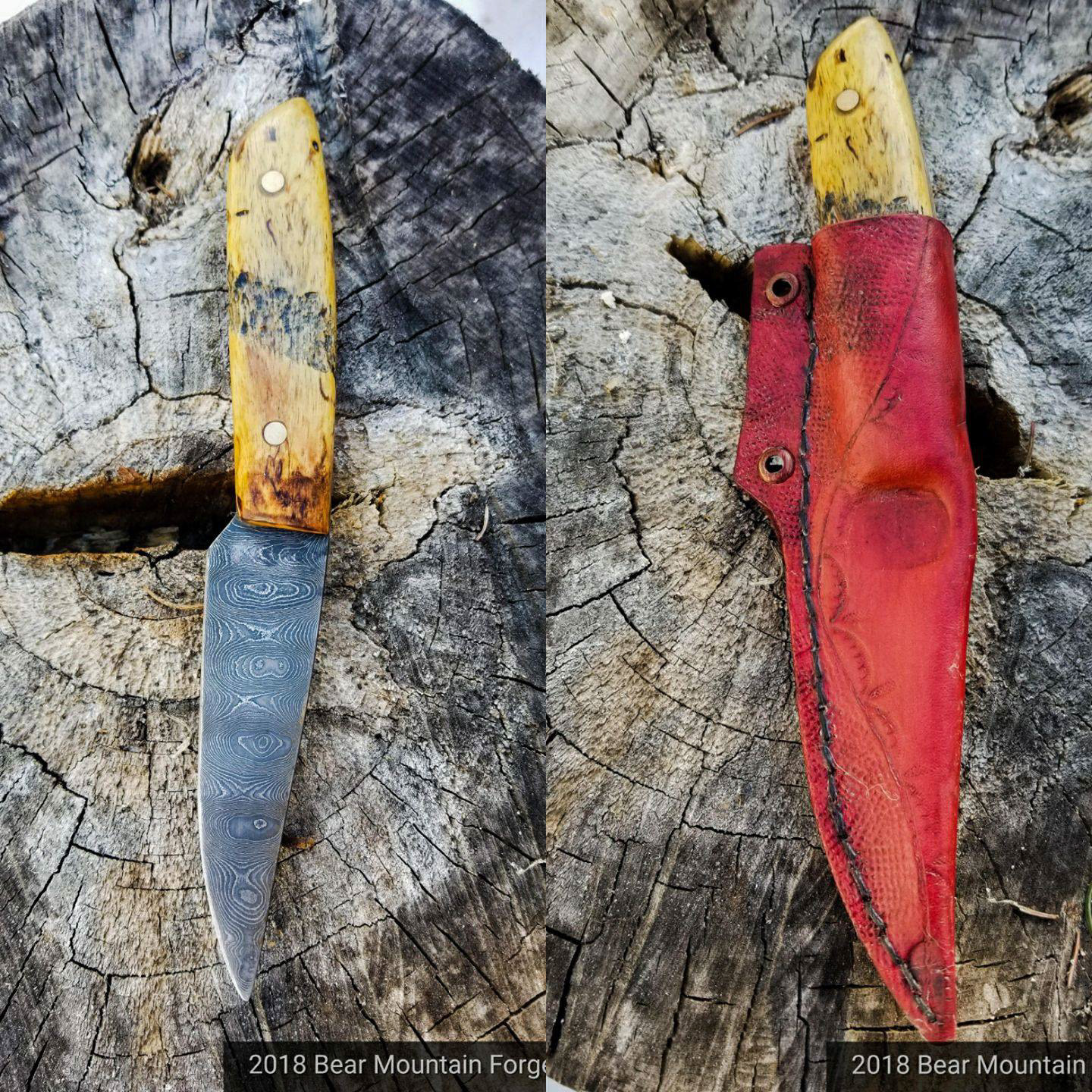 1084/15n20 blade, spalted tamarind, with brass