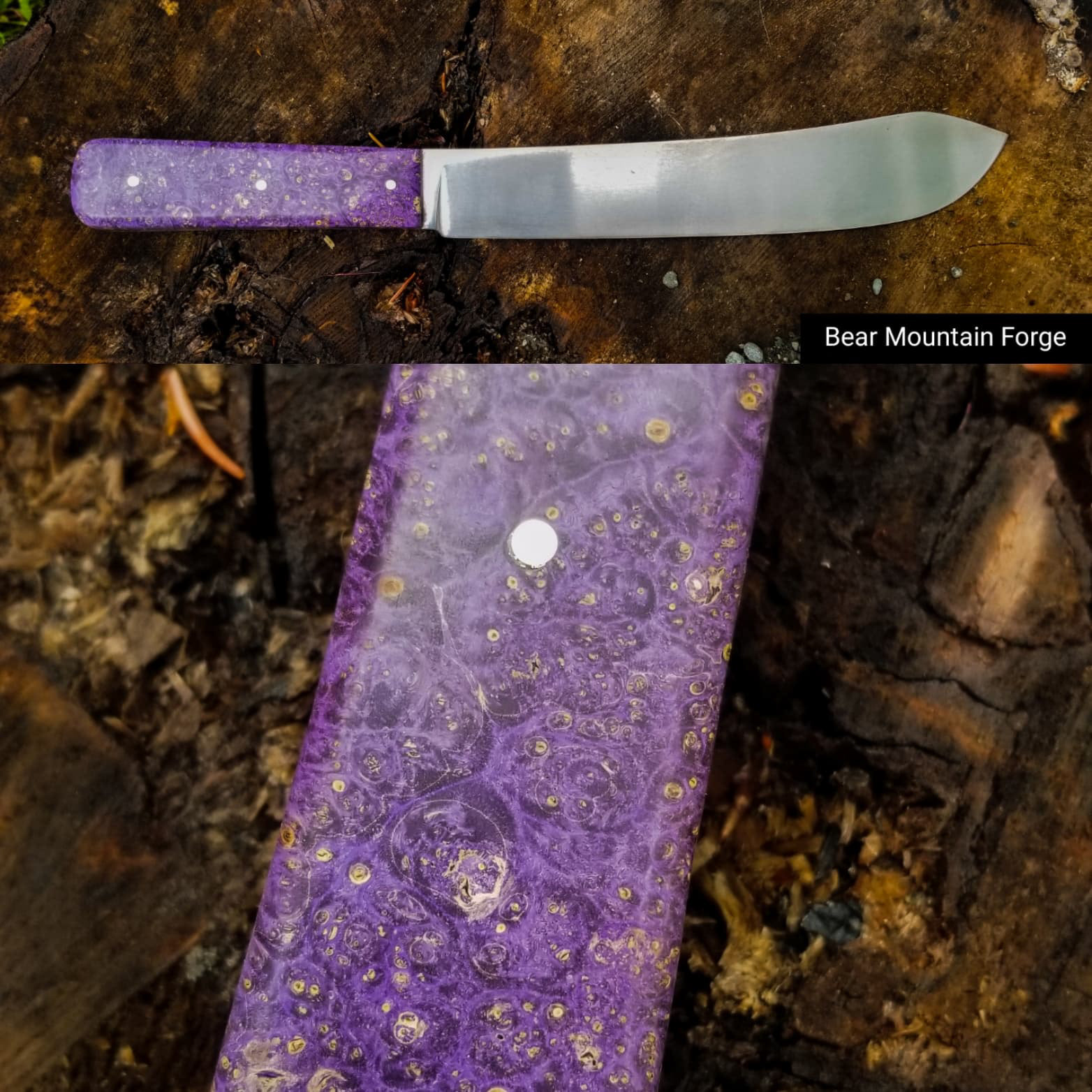 green river, with box elder scales