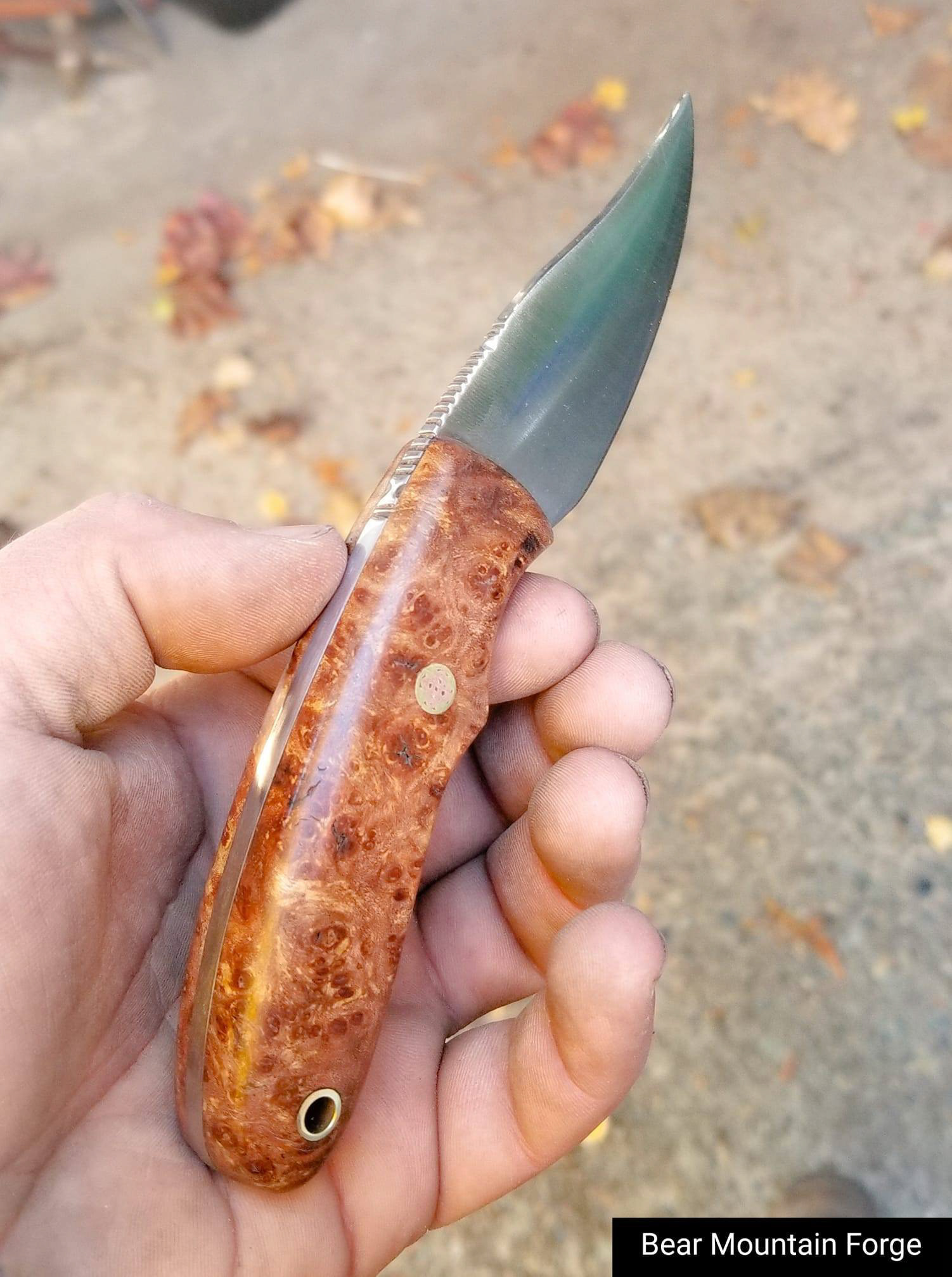 1095 blade, fileworked, with Japanese elm burl and mosaic pin