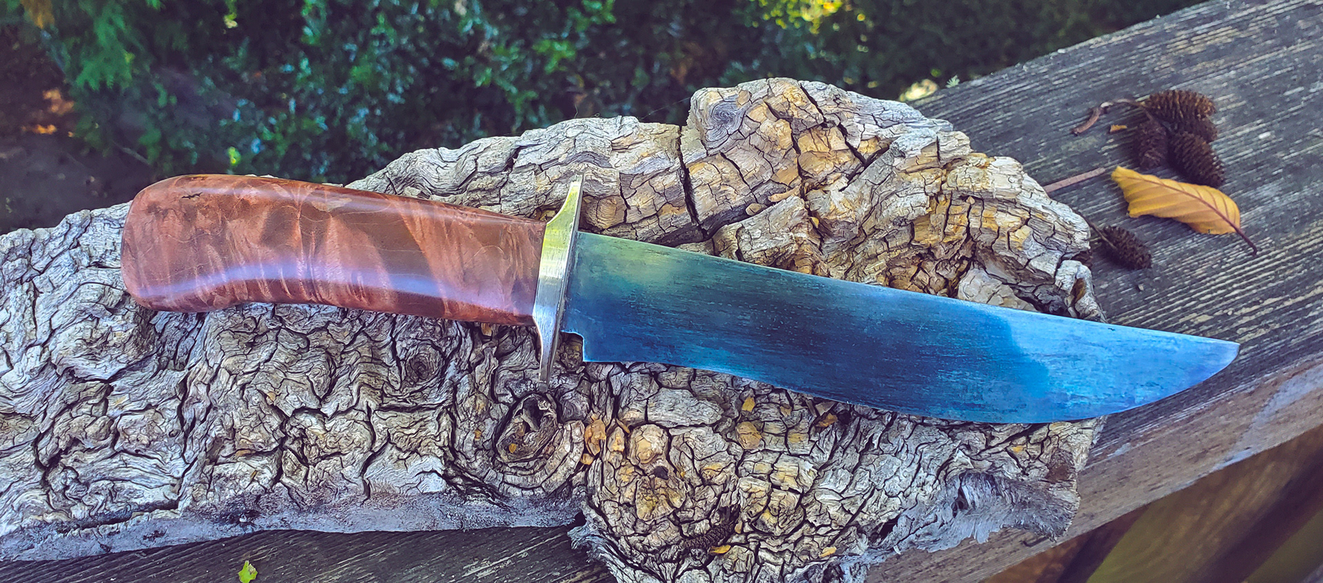 Recurve, maple burl handle, 5160 blade with steel guard