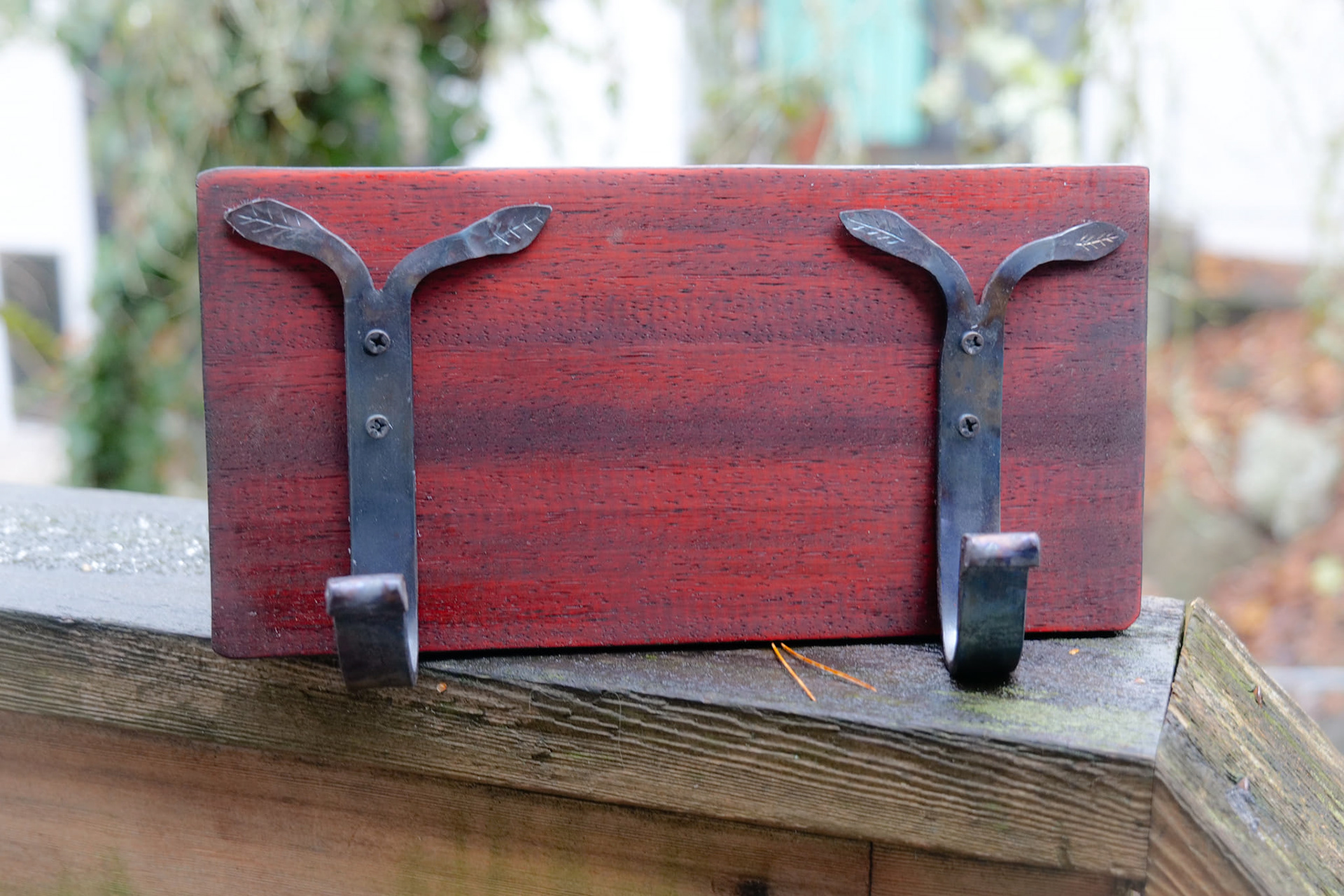 Rustic coat hooks on padauk back