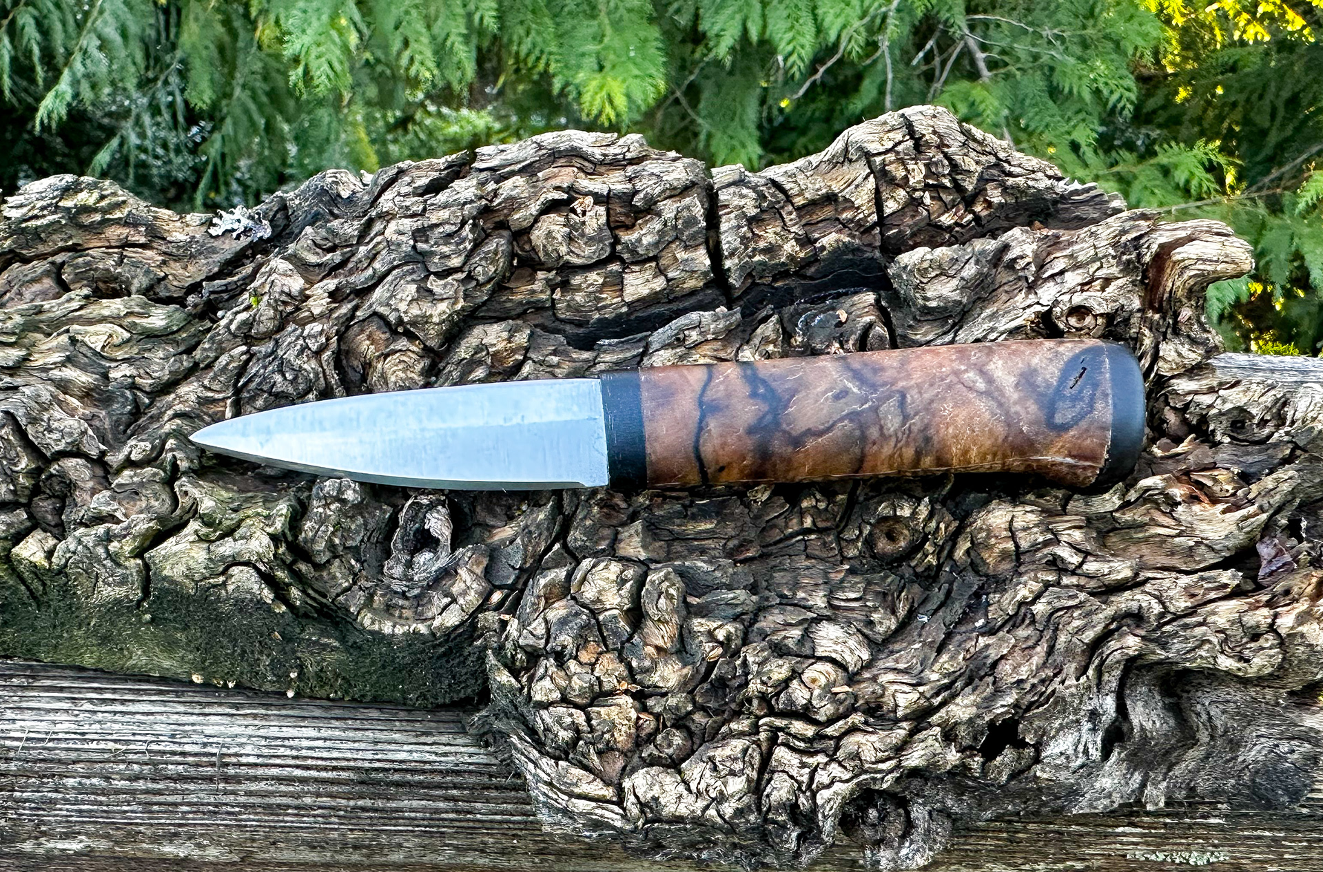 Belt Knife, spalted maple with horn caps