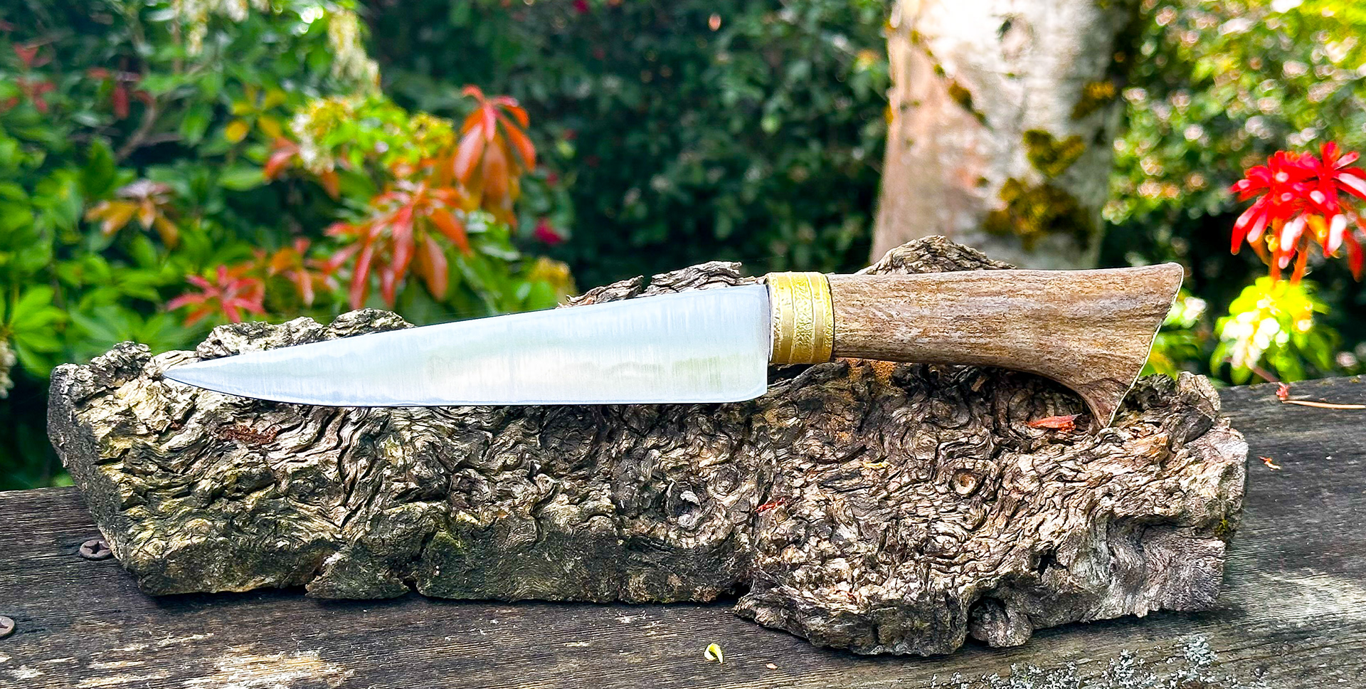 Gralloch Scottishs knife, 80crv2, brass ferrule, moose antler grip