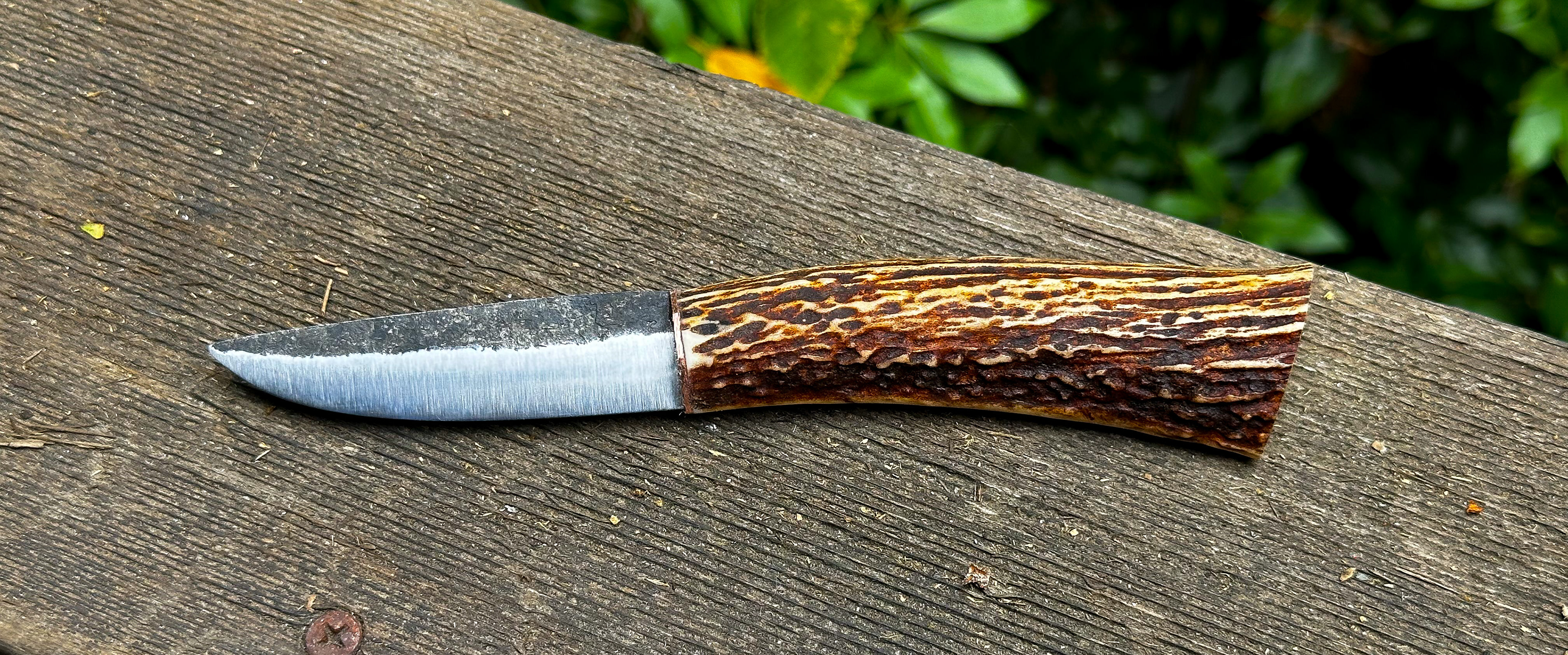 Rustic Belt Knife, 80crv2 blade with bronze and elk antler grip