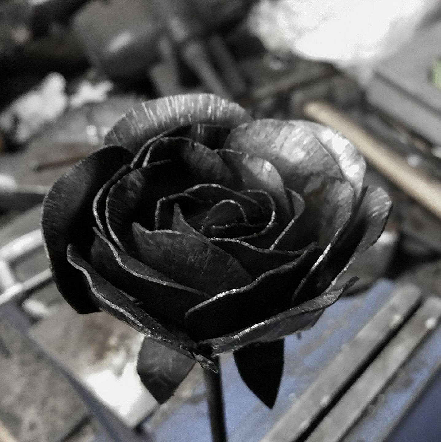 steel rose