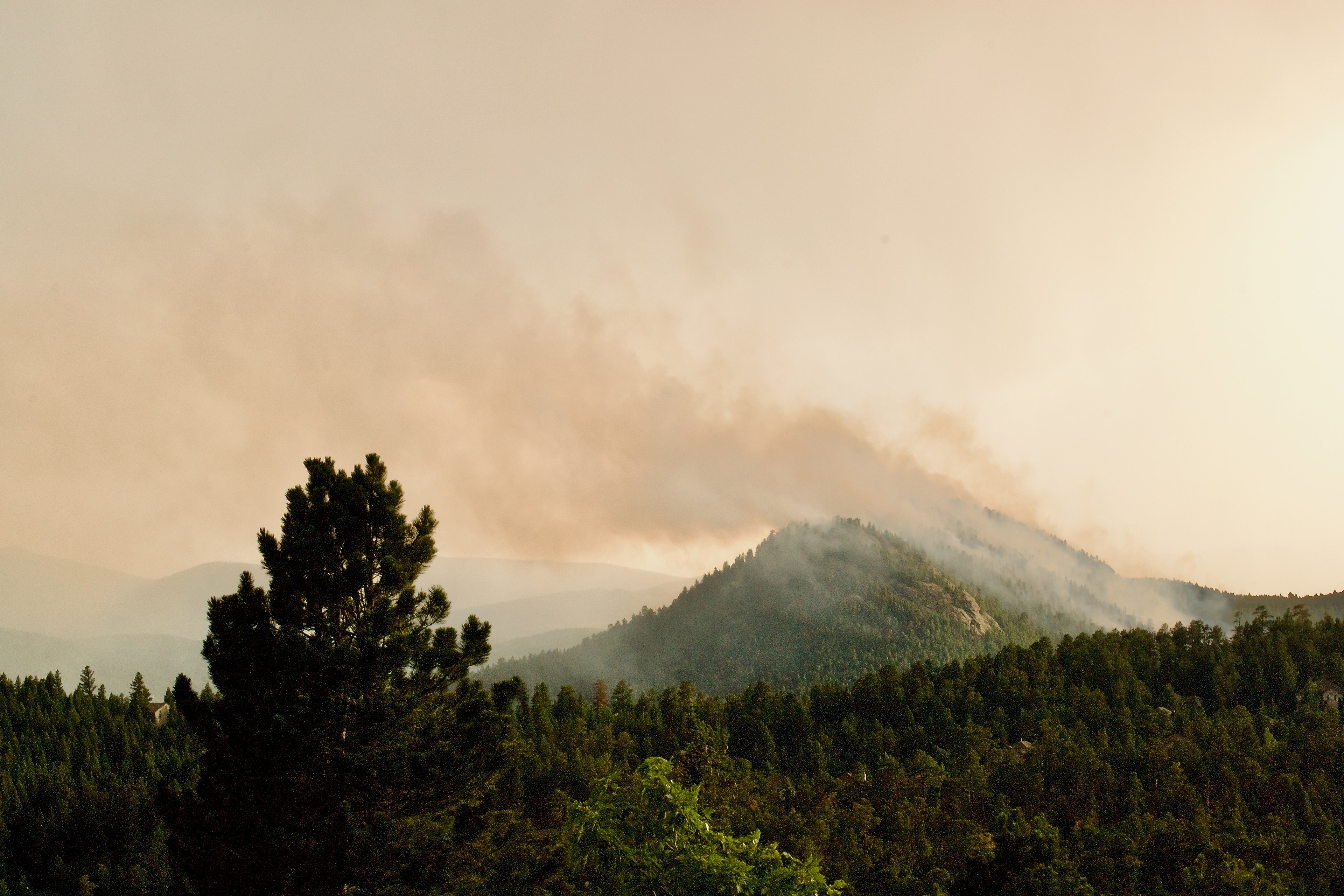 In the end about 40 acres of woodland were destroyed, but no lives or homes were lost. The community sends its thanks to the emergency response team members who expertly worked together to contain and end the threat © 2022 Geoffrey Erdahl