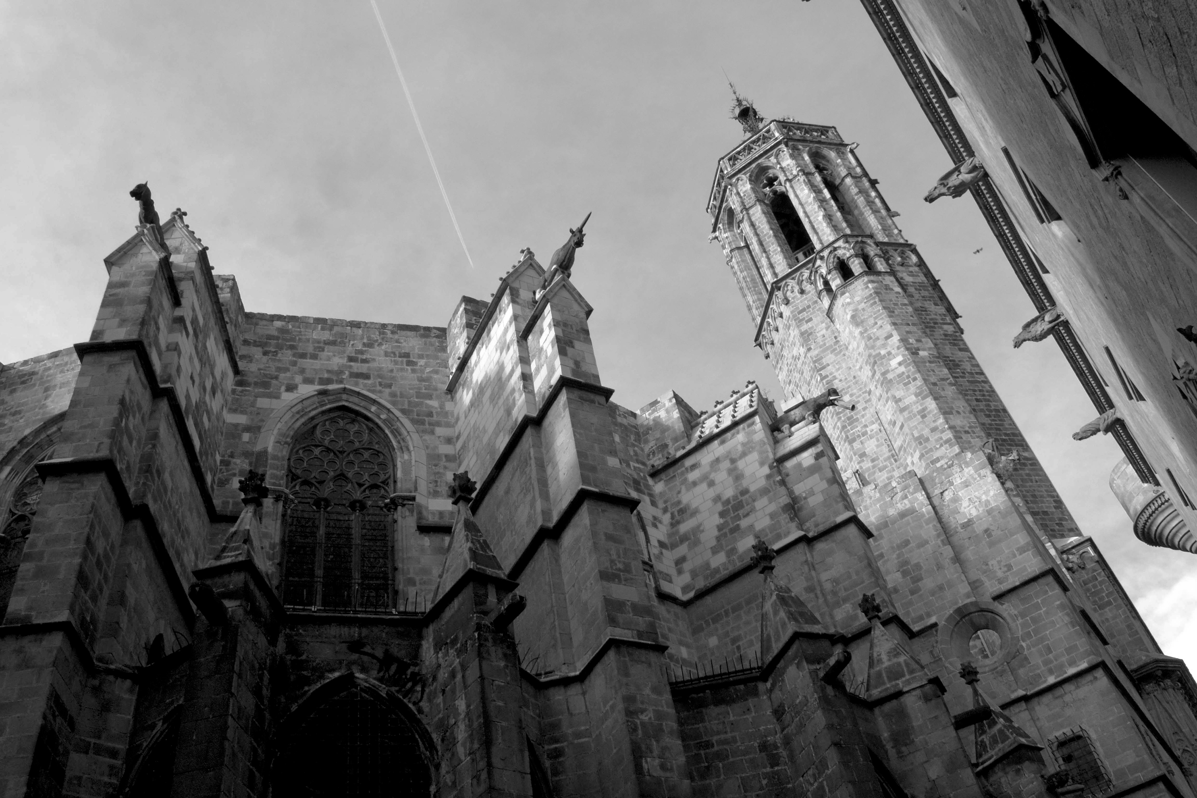 Barcelona Cathedral © 2022 Geoffrey Erdahl