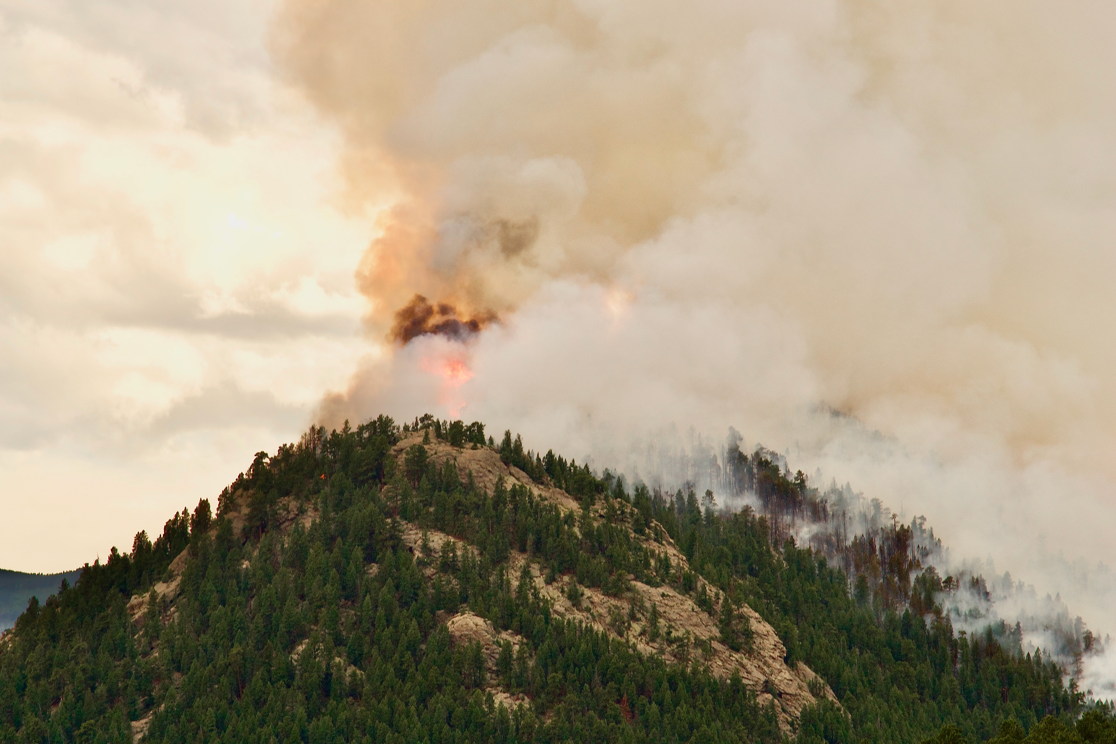 A number of trees flared unpredictably, creating another danger to the aircraft © 2022 Geoffrey Erdahl