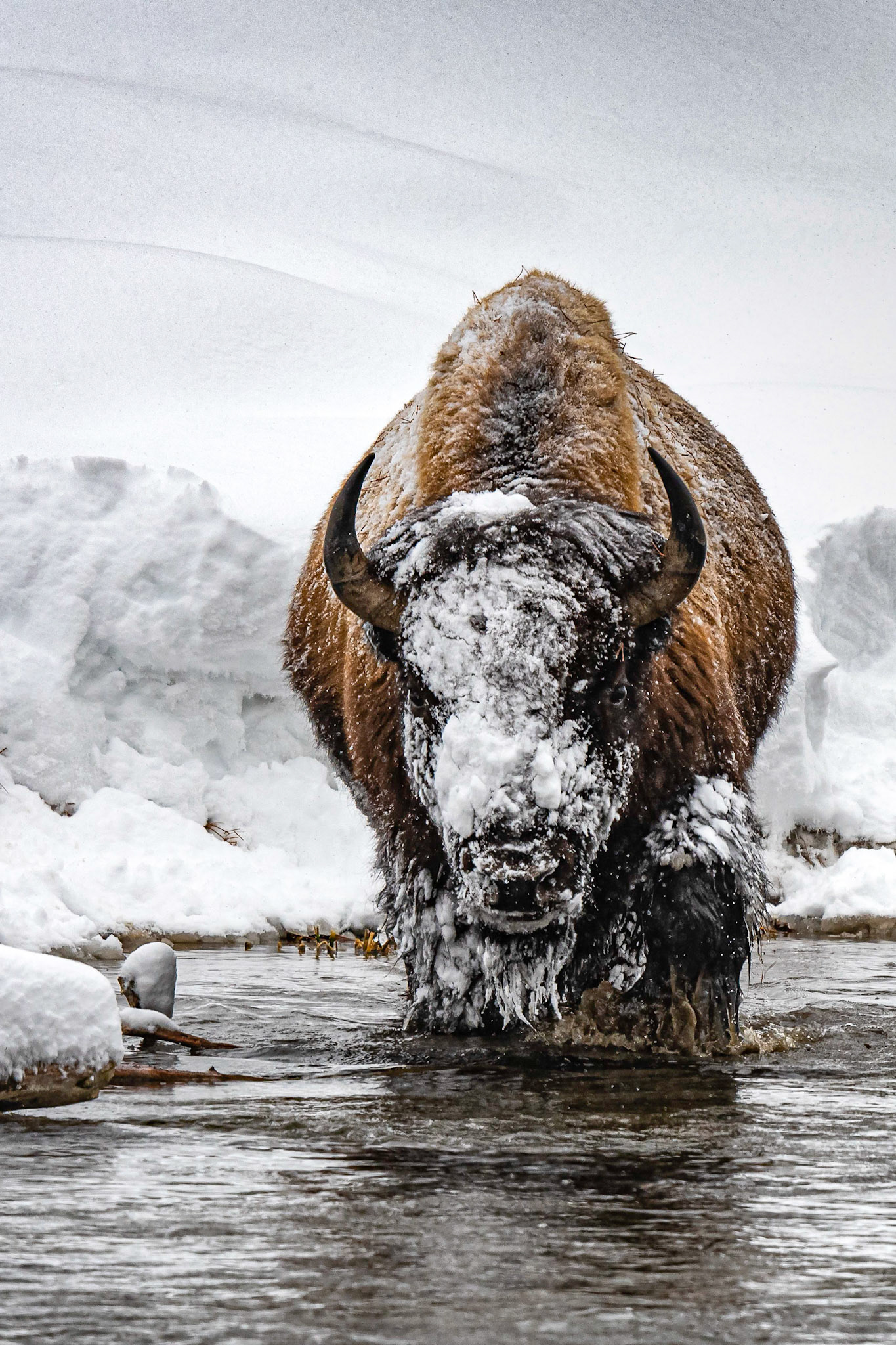 Crossing the Divide