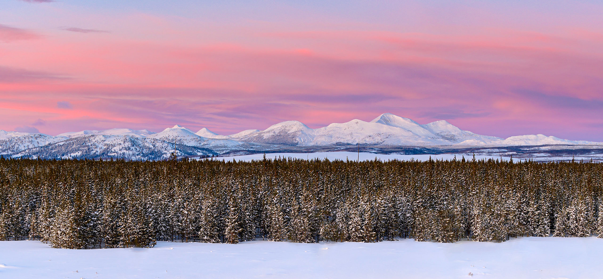 Gallatin Mountains