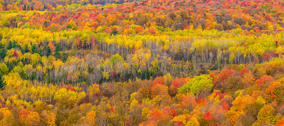 Deadman's Overlook