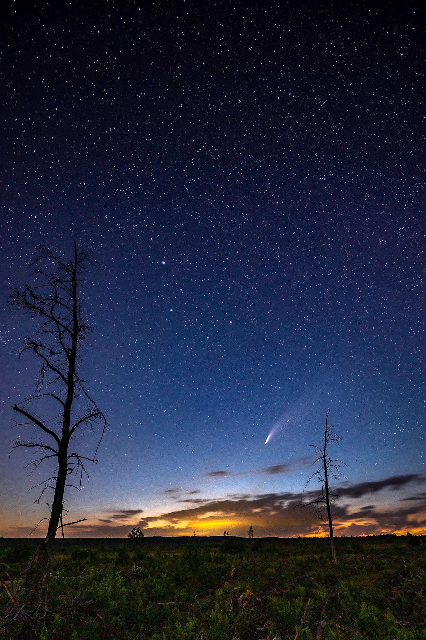 NEOWISE Over Northern Michigan