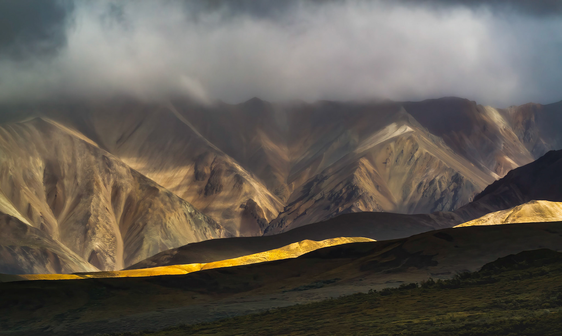 Denali Foothills