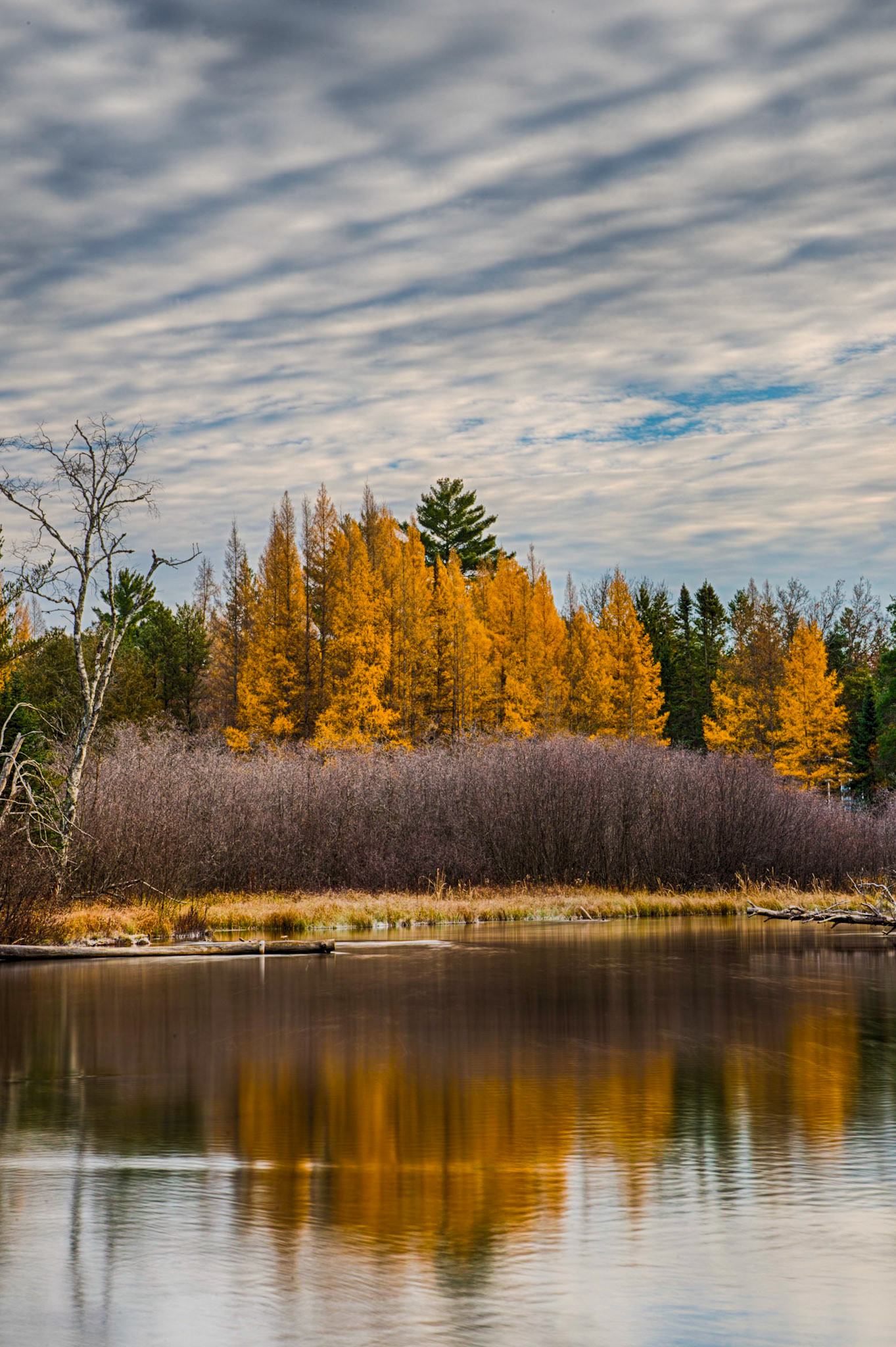 Manistee Fall Colors