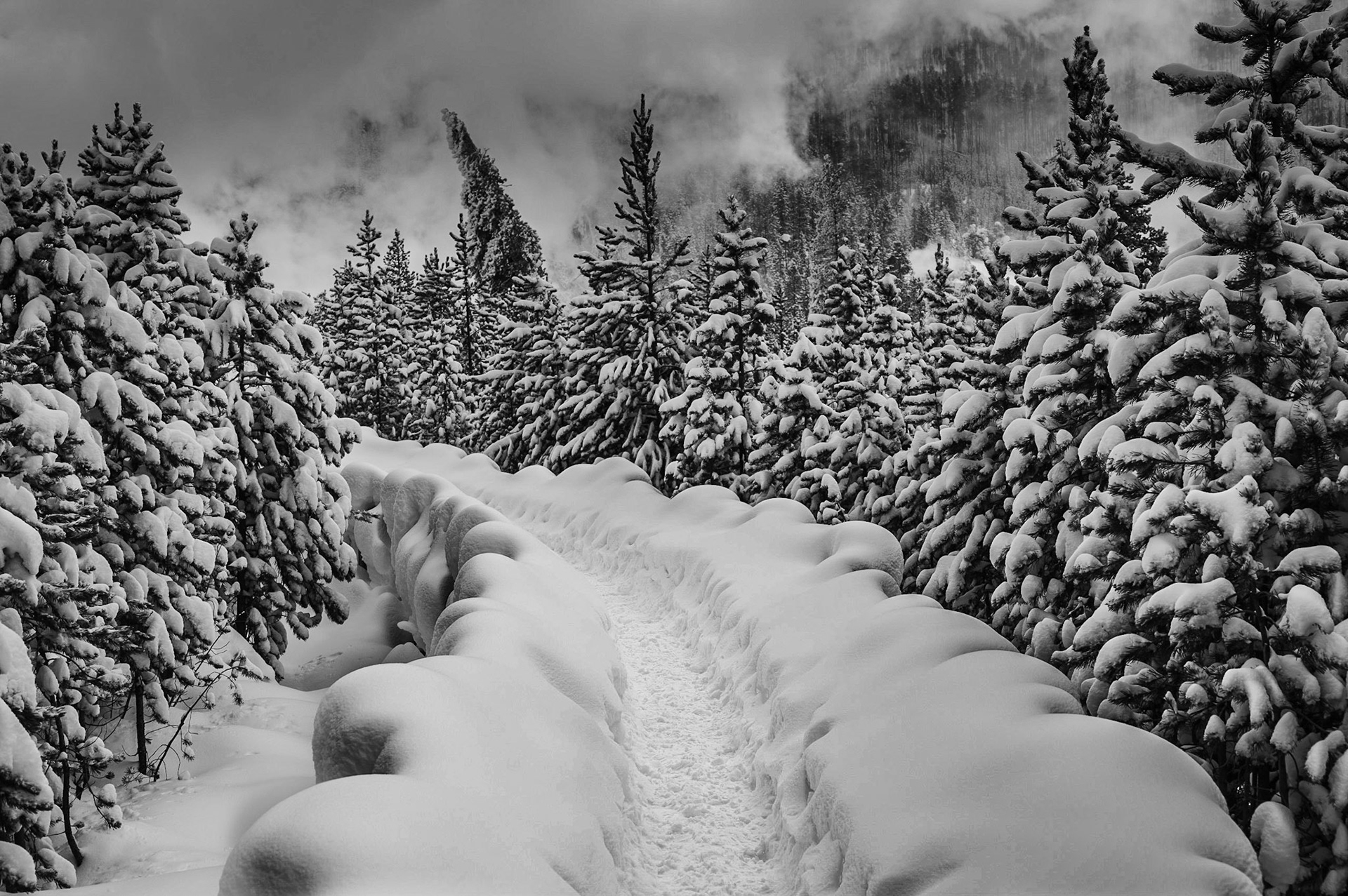 Path to Nowhere