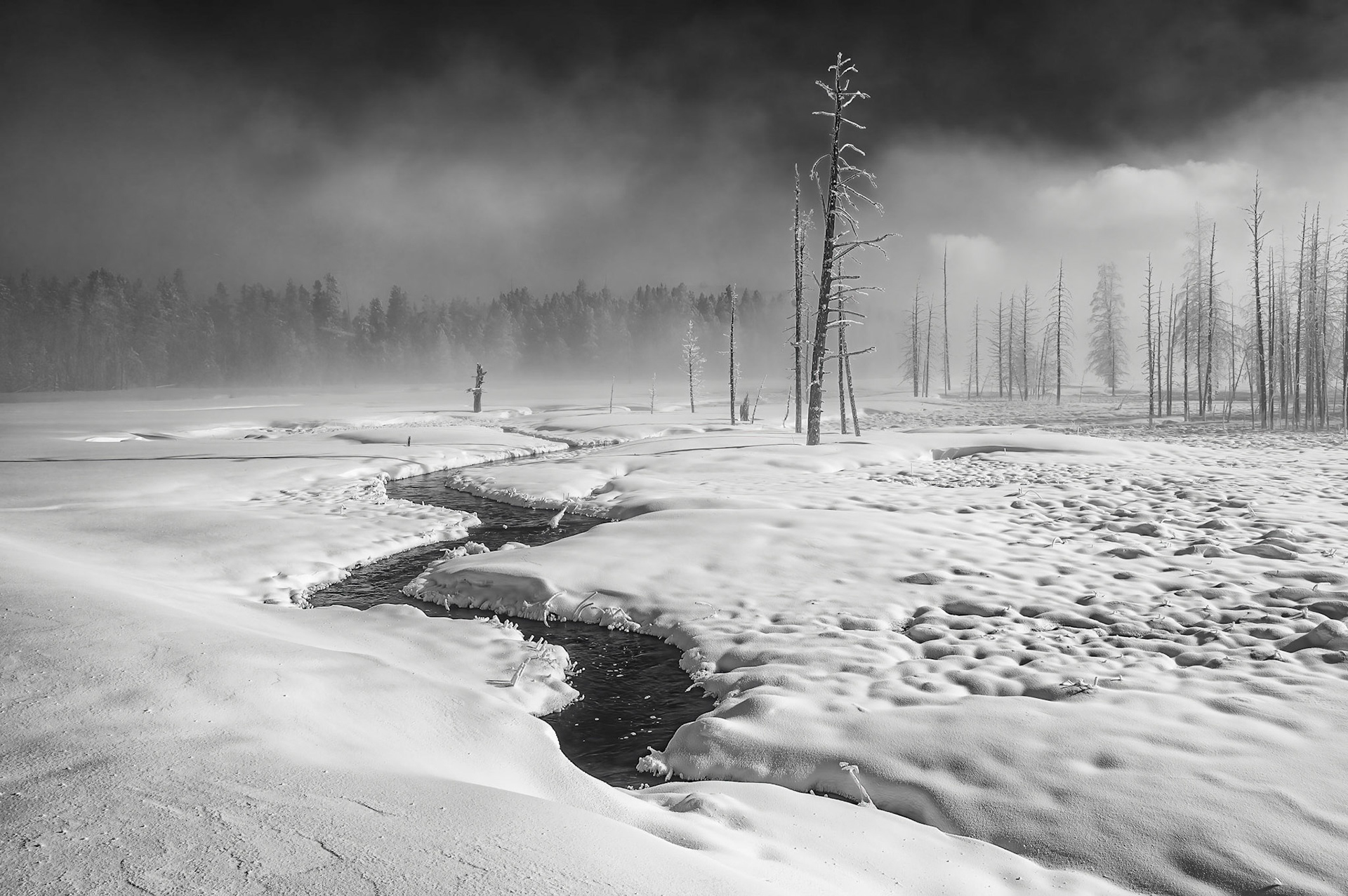 Yellowstone Creek