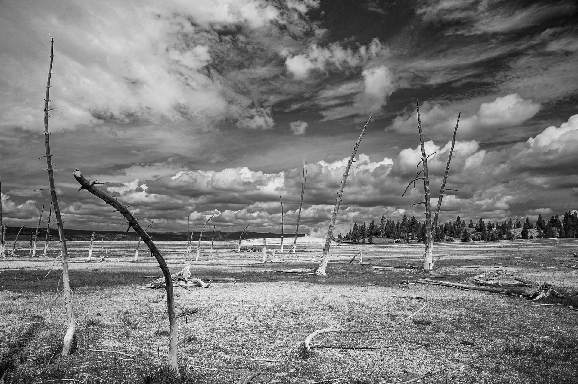 Yellowstone Hot Springs