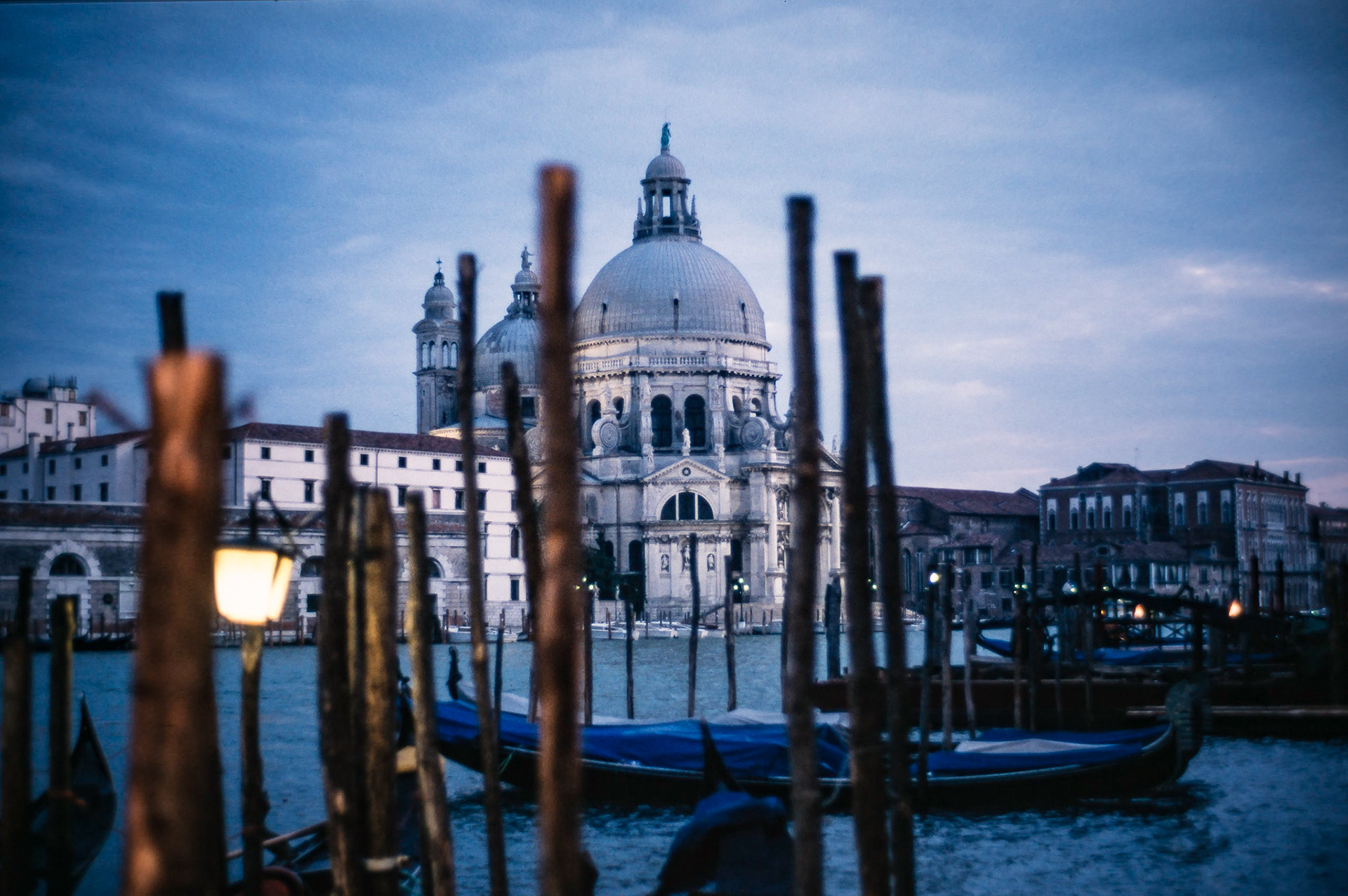 Pure Venice