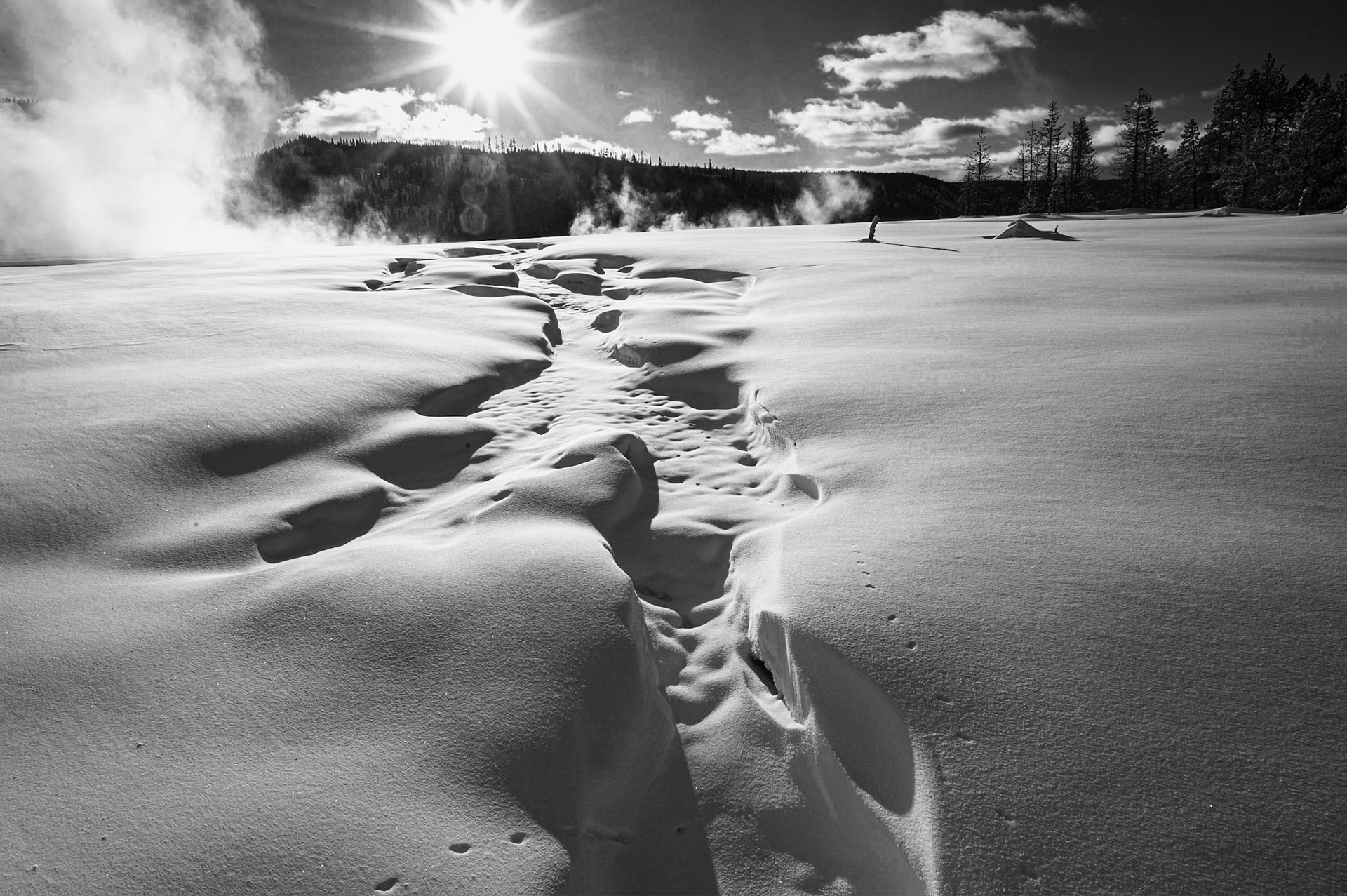 Into the Sun