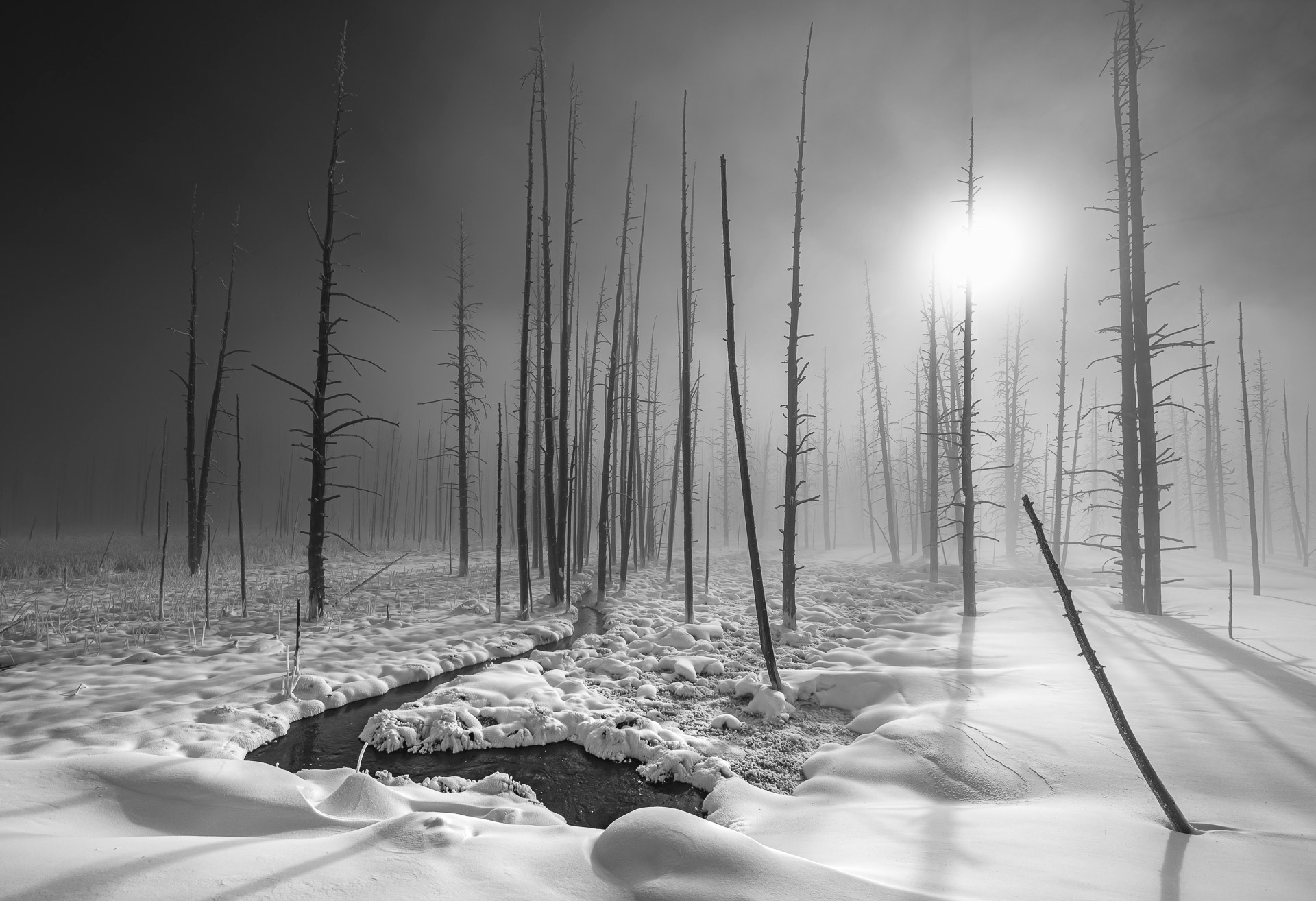 Cold Smoke at Tangled Creek