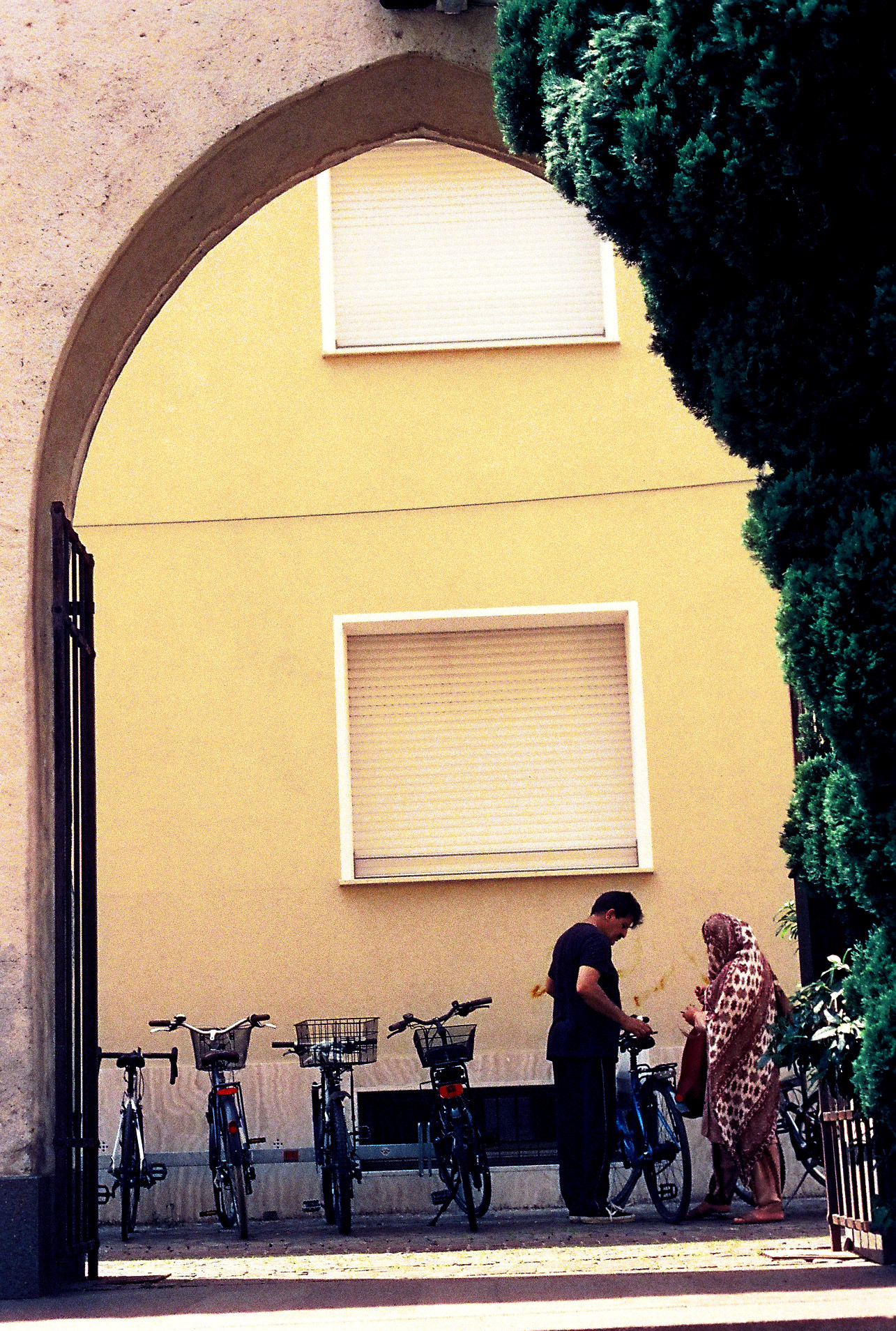 Bolzano -  Cinestil 800 ASA