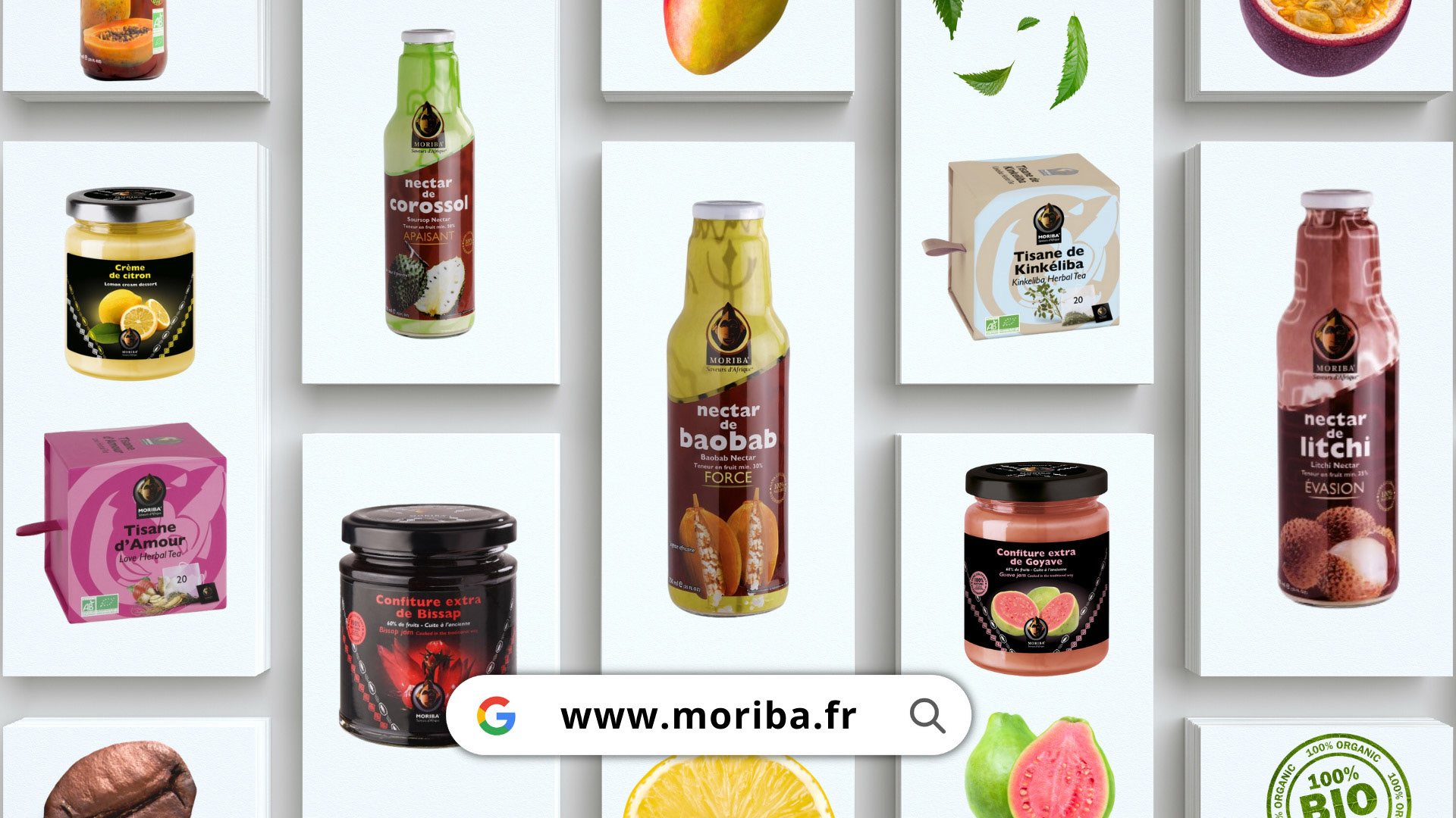 portfolio - 5