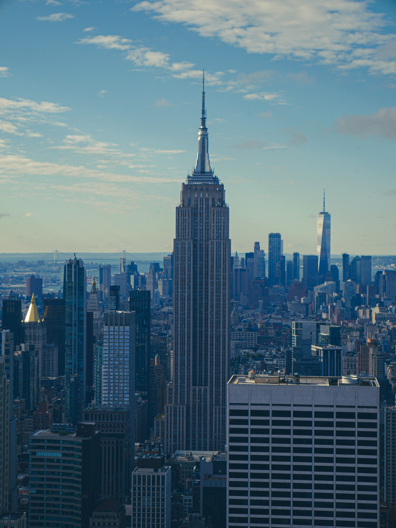 © Logan Hallam-Fairbrother