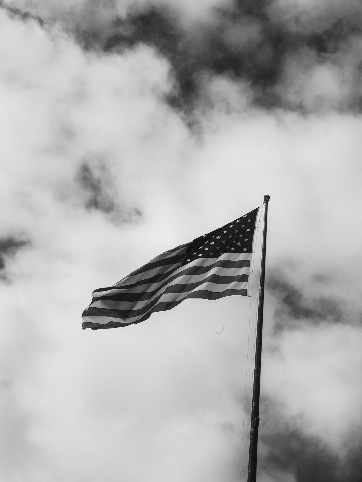 © Logan Hallam-Fairbrother