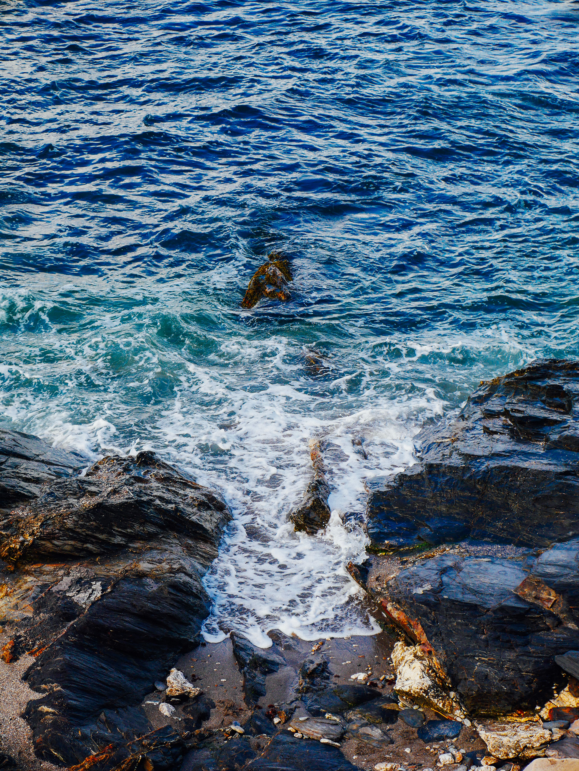 © Logan Hallam-Fairbrother