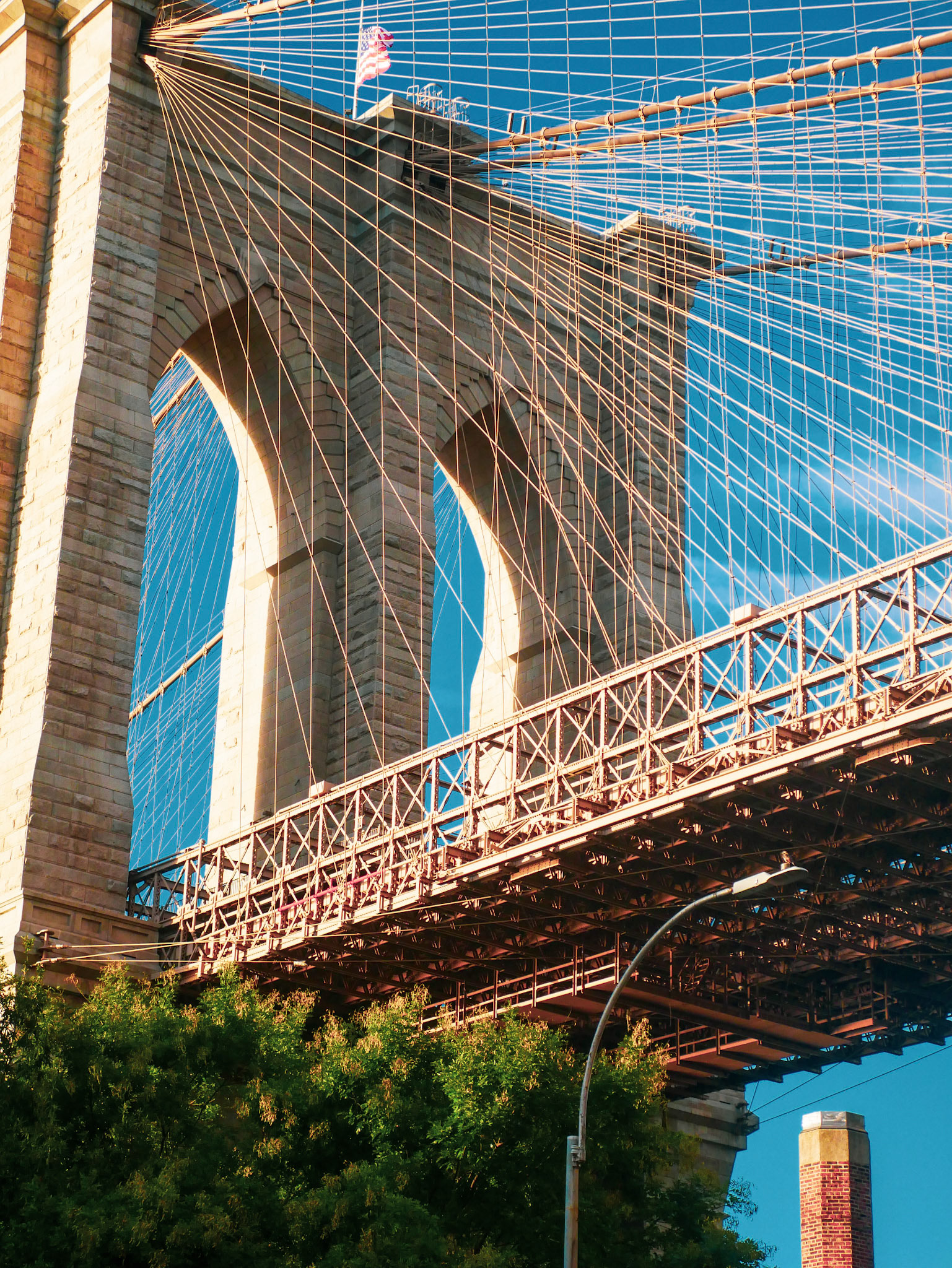 © Logan Hallam-Fairbrother