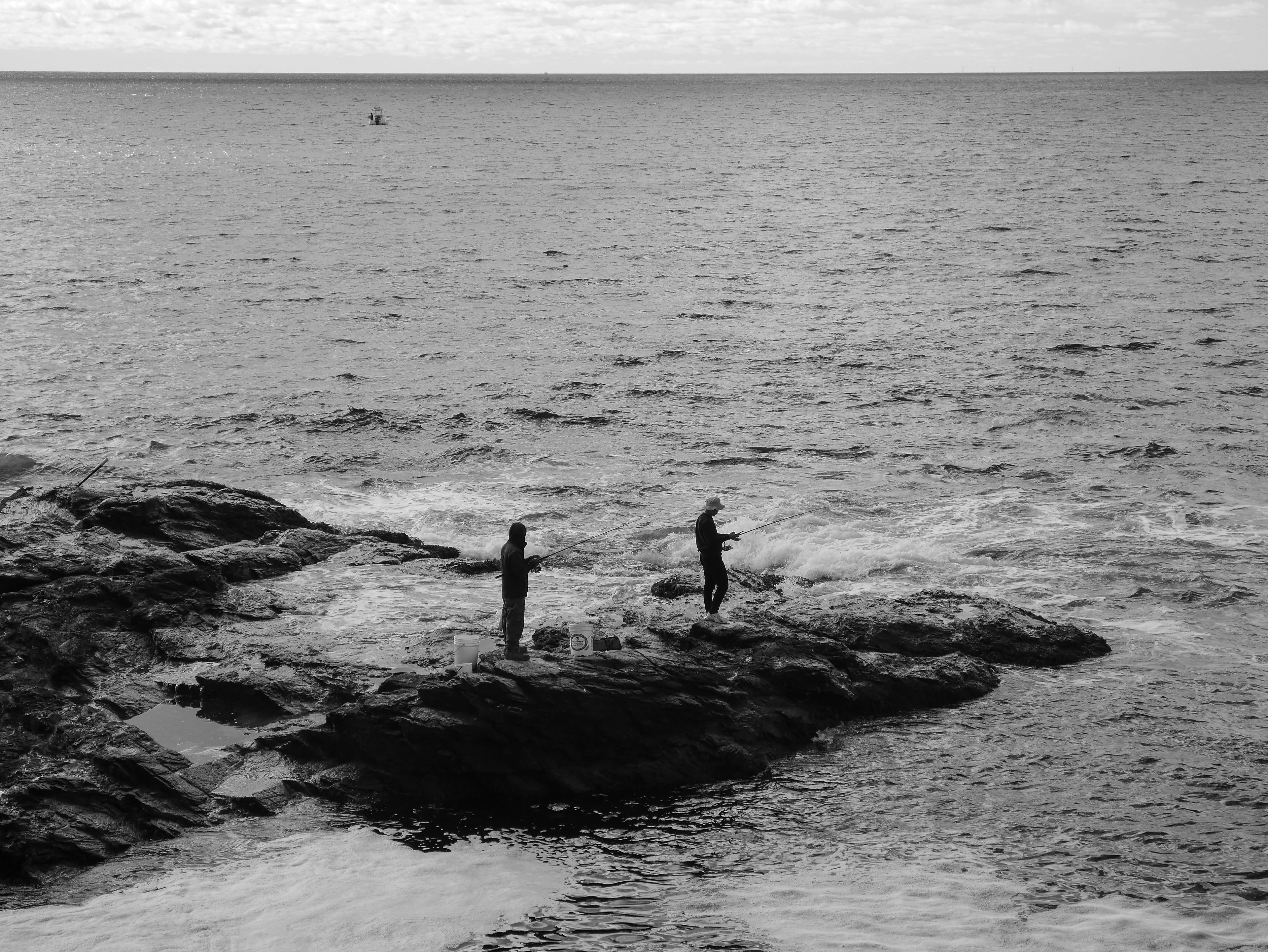 © Logan Hallam-Fairbrother