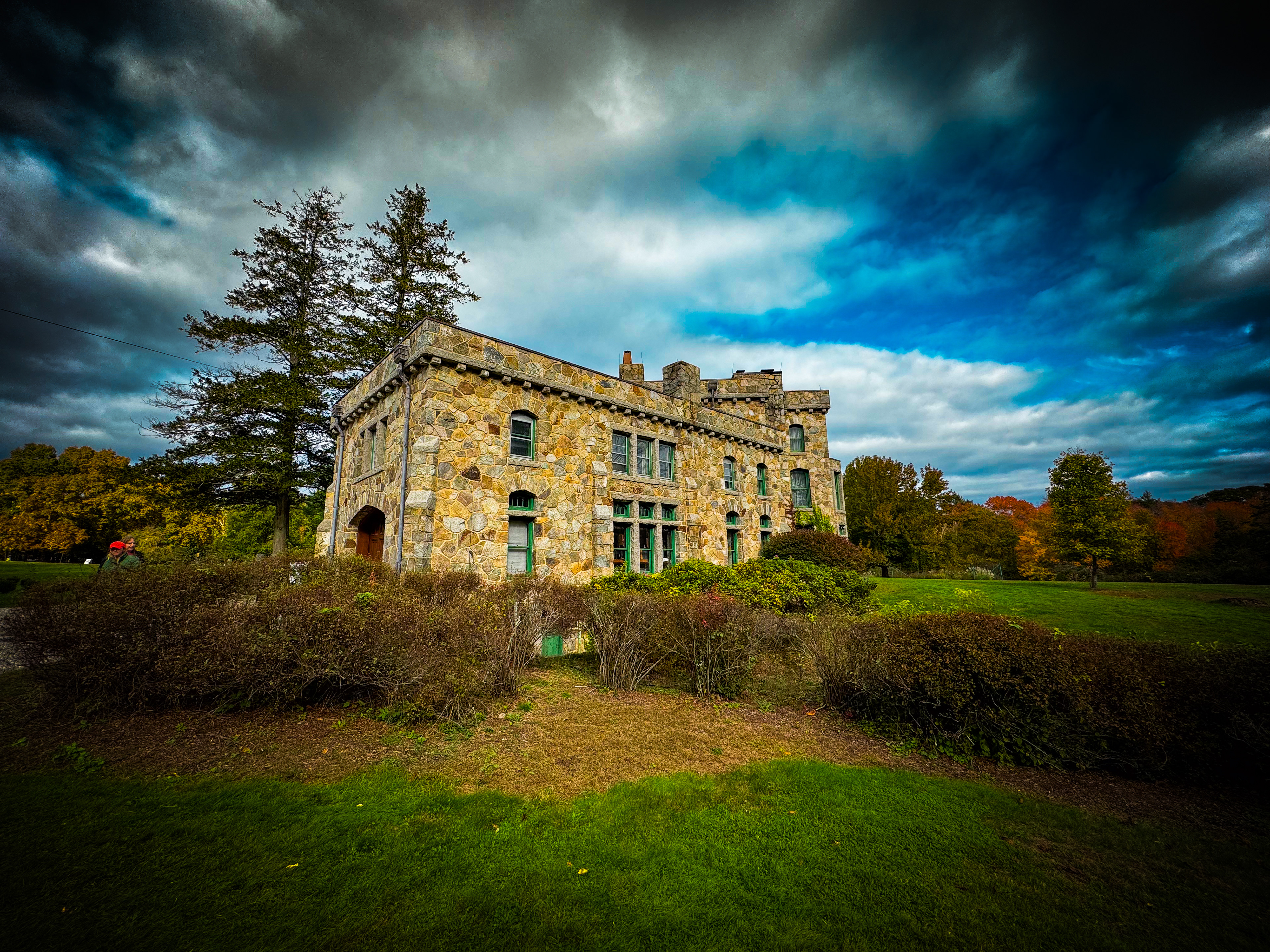 © Logan Hallam-Fairbrother