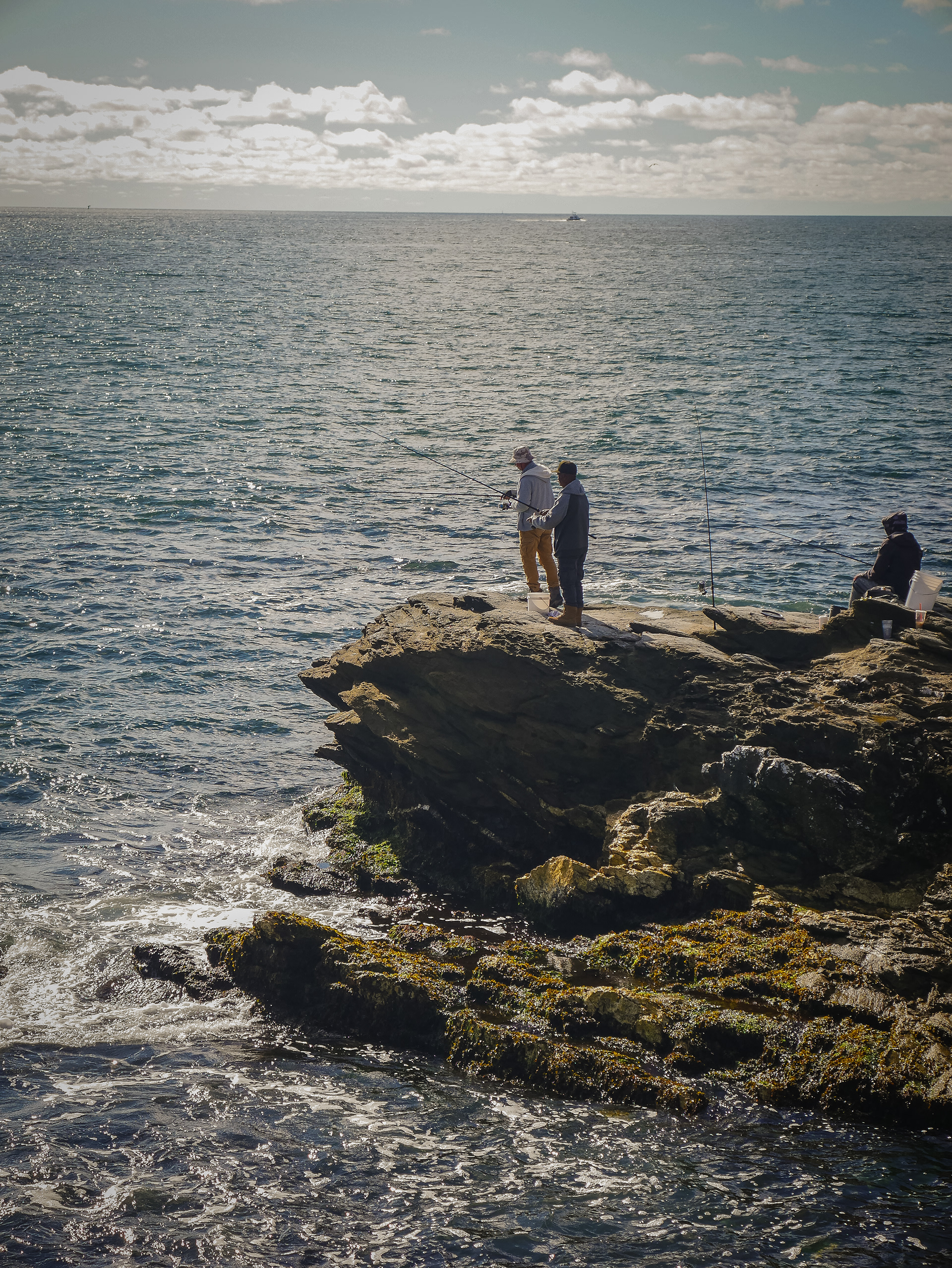 © Logan Hallam-Fairbrother