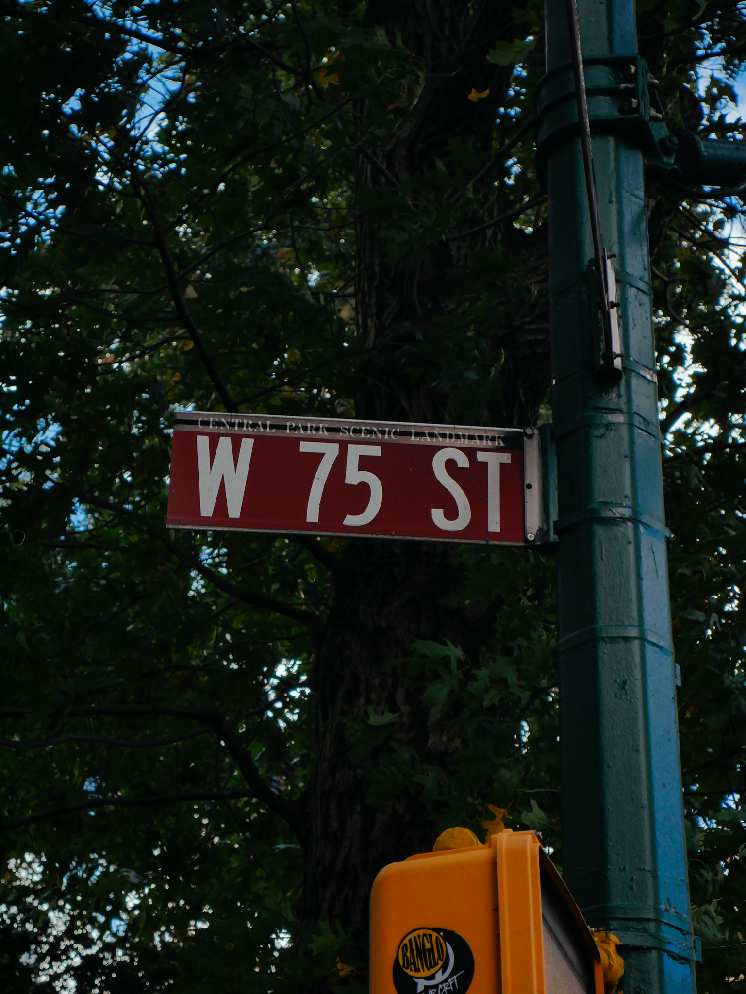 © Logan Hallam-Fairbrother