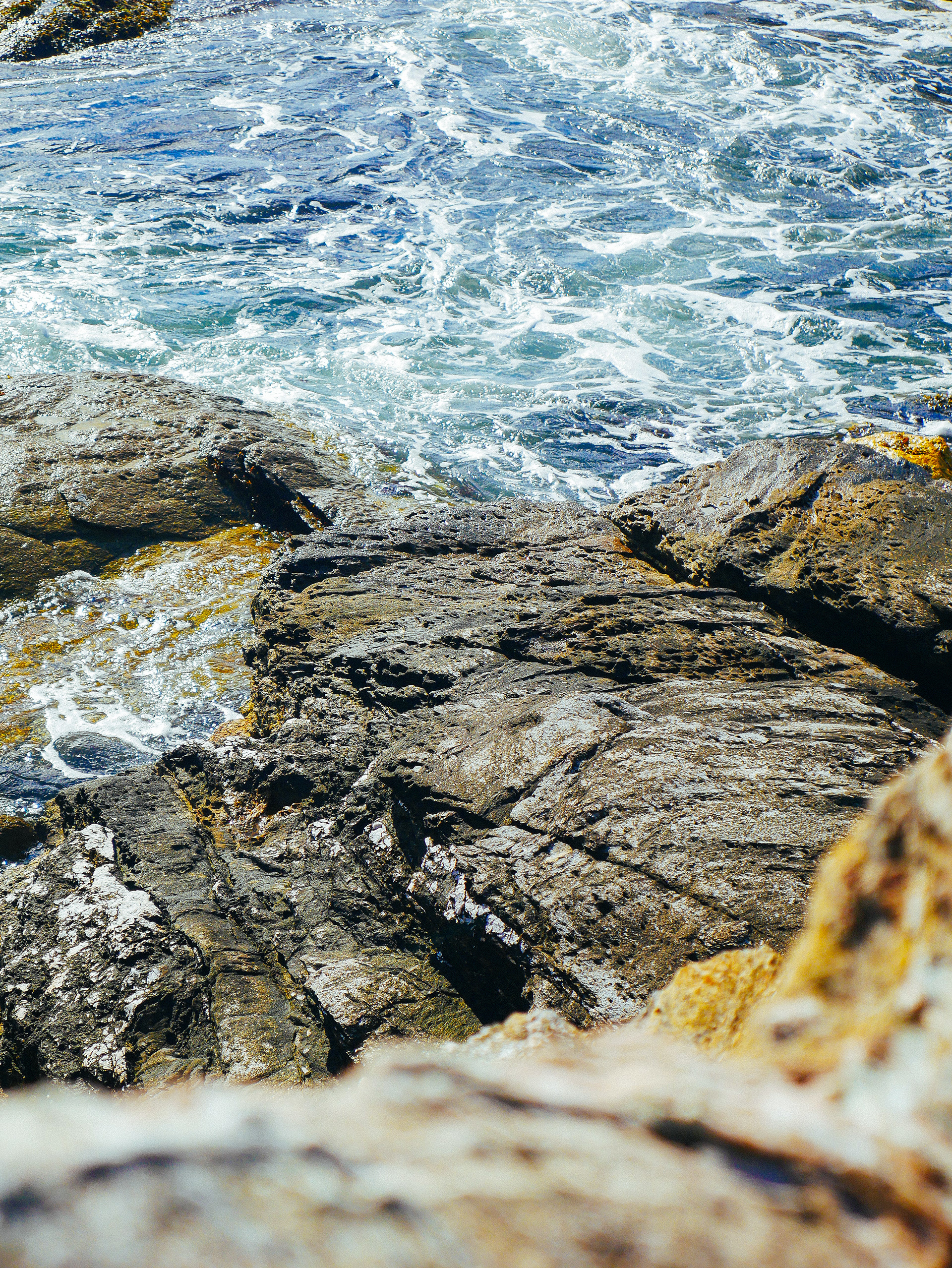 © Logan Hallam-Fairbrother