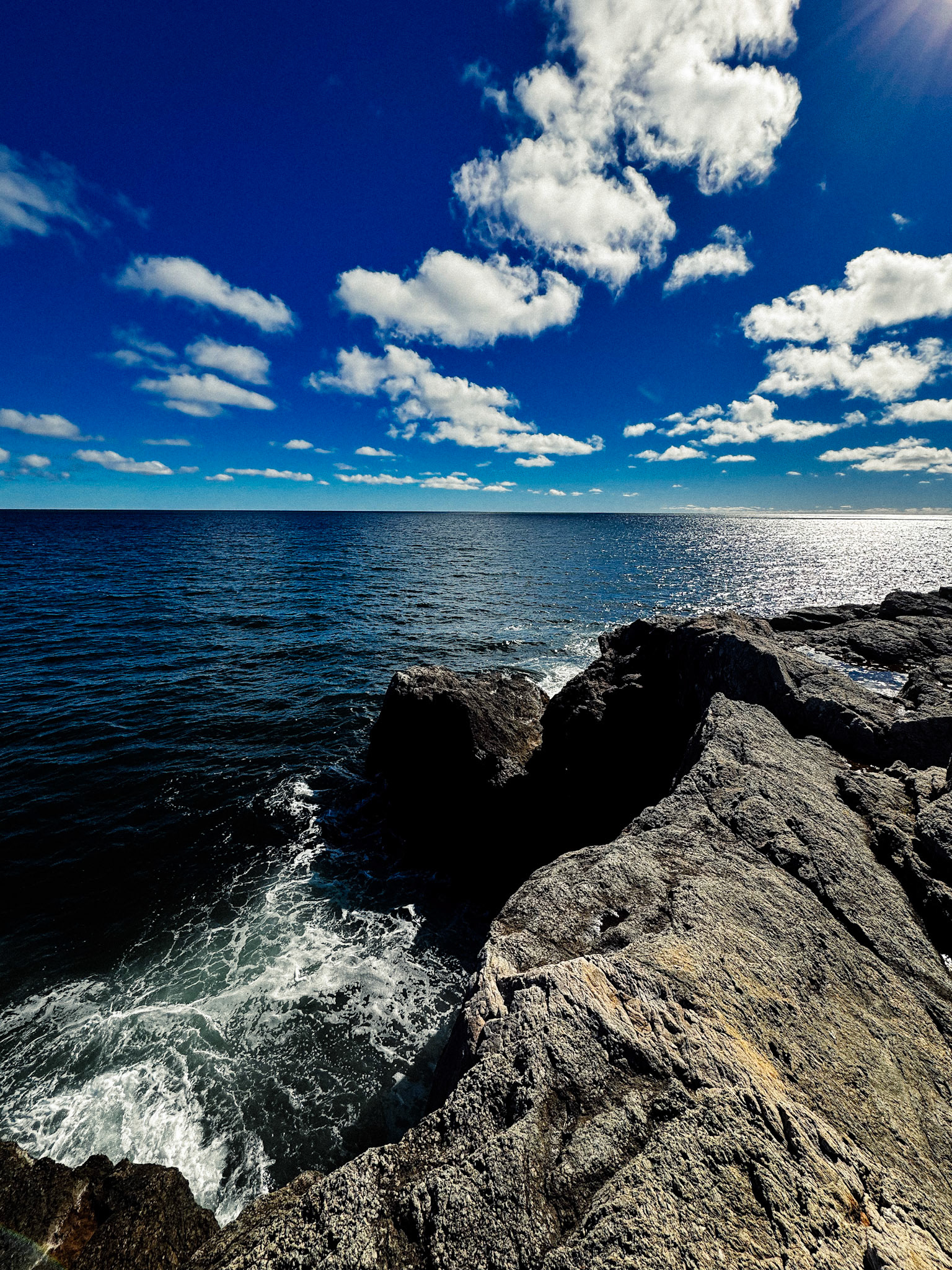 © Logan Hallam-Fairbrother