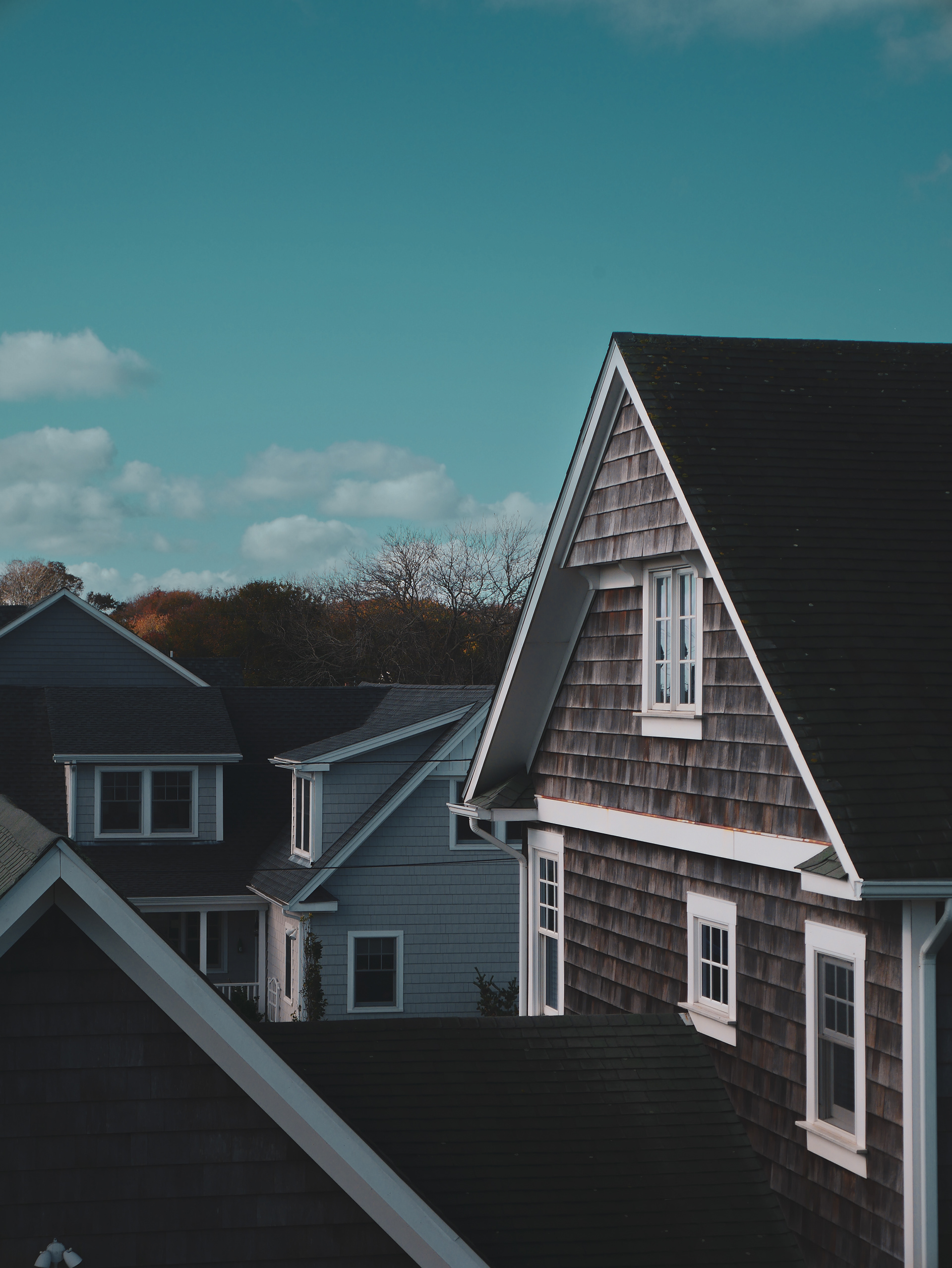 © Logan Hallam-Fairbrother