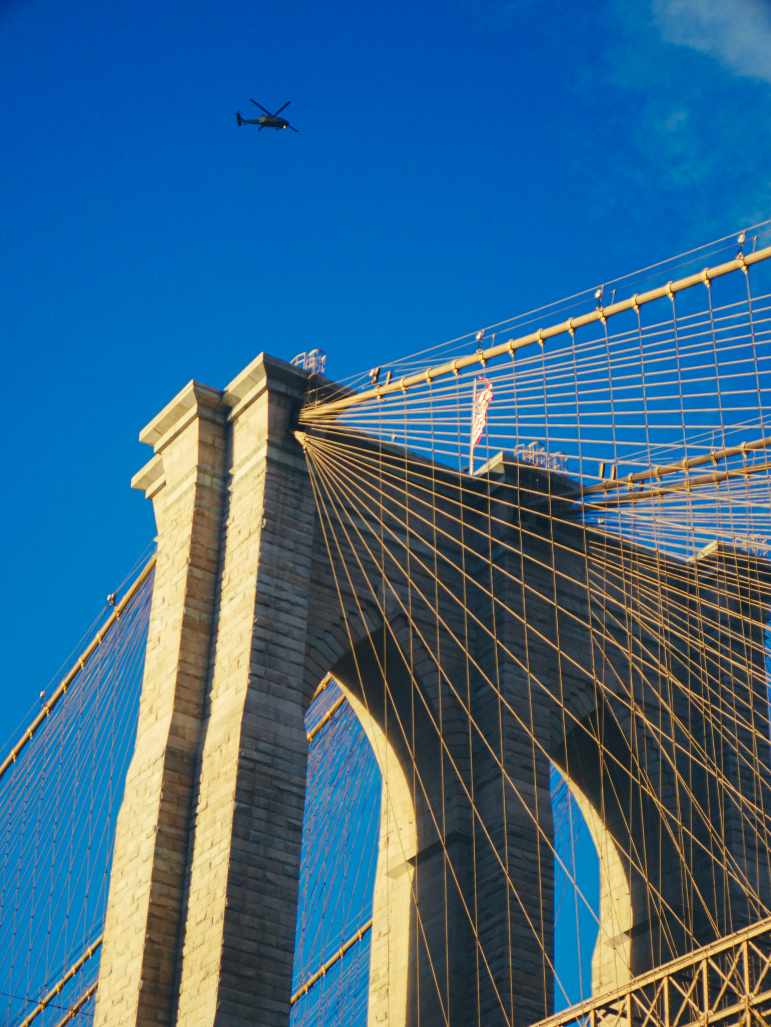 © Logan Hallam-Fairbrother