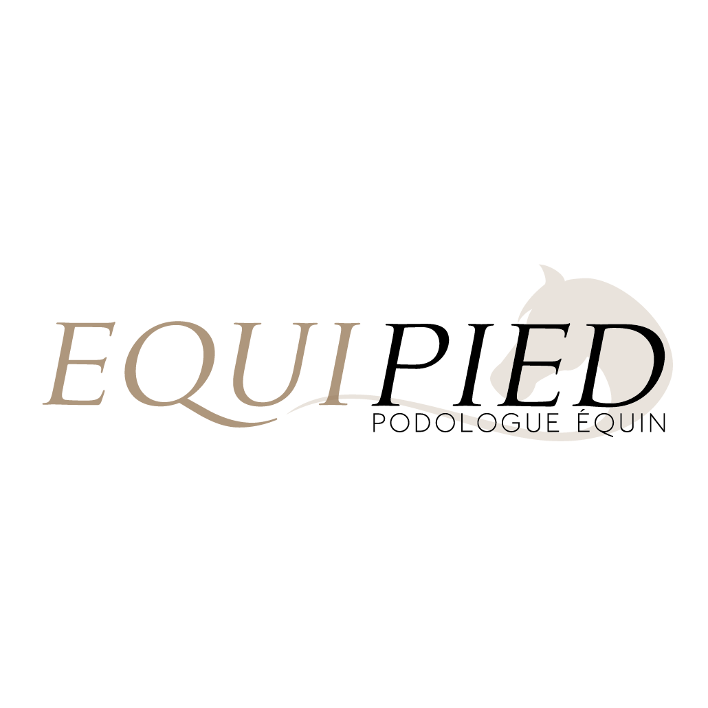 Logotype pour un podologue équin