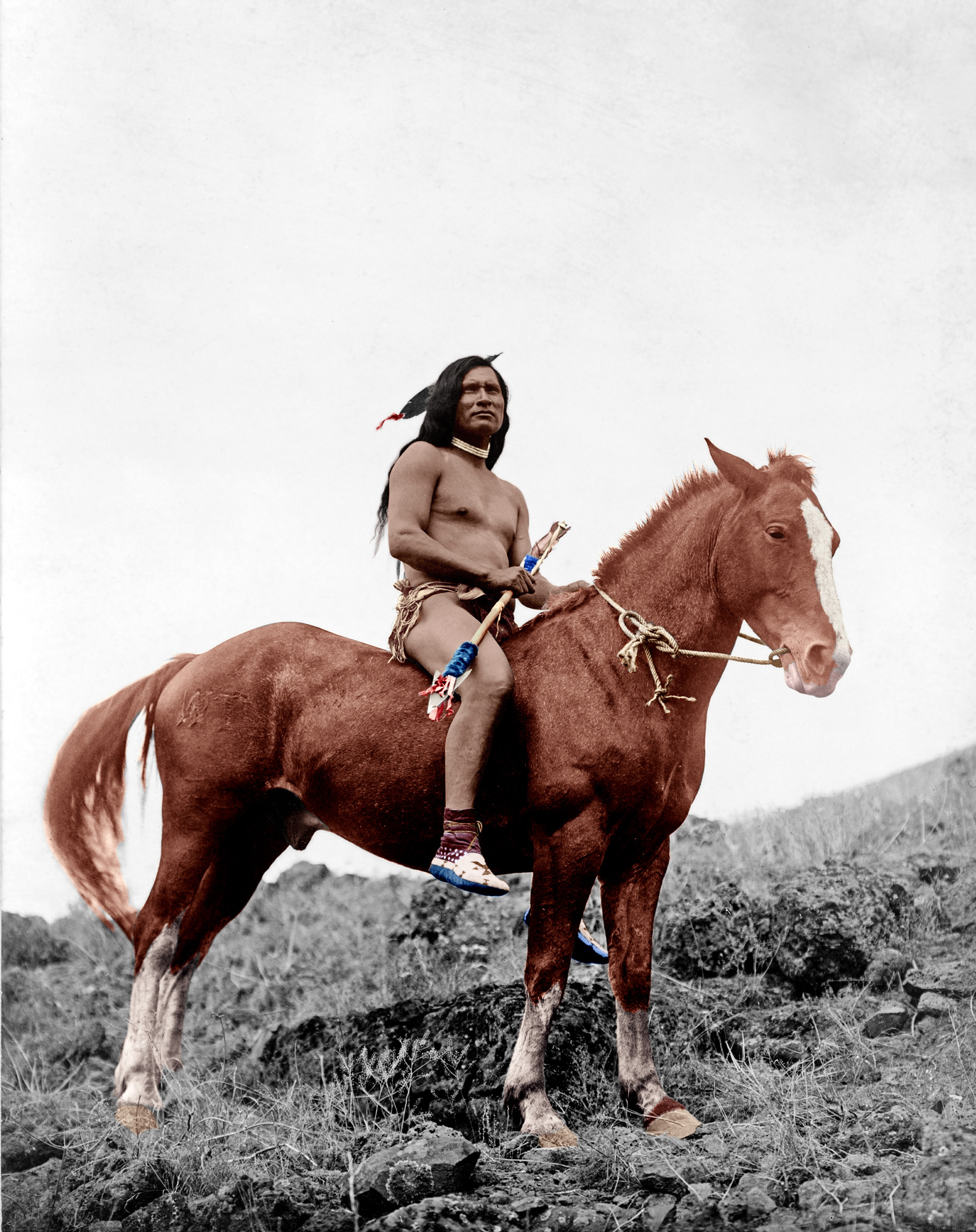 Guerrier Nez percé